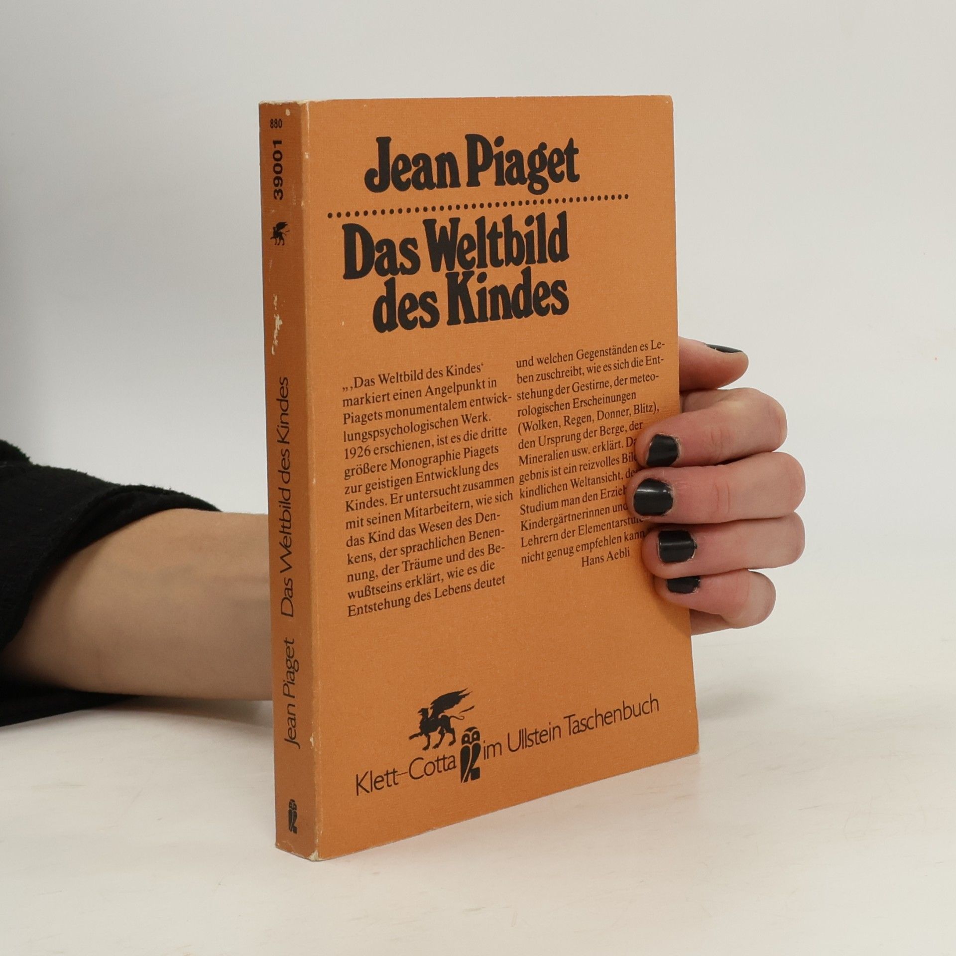 Das Weltbild des Kindes