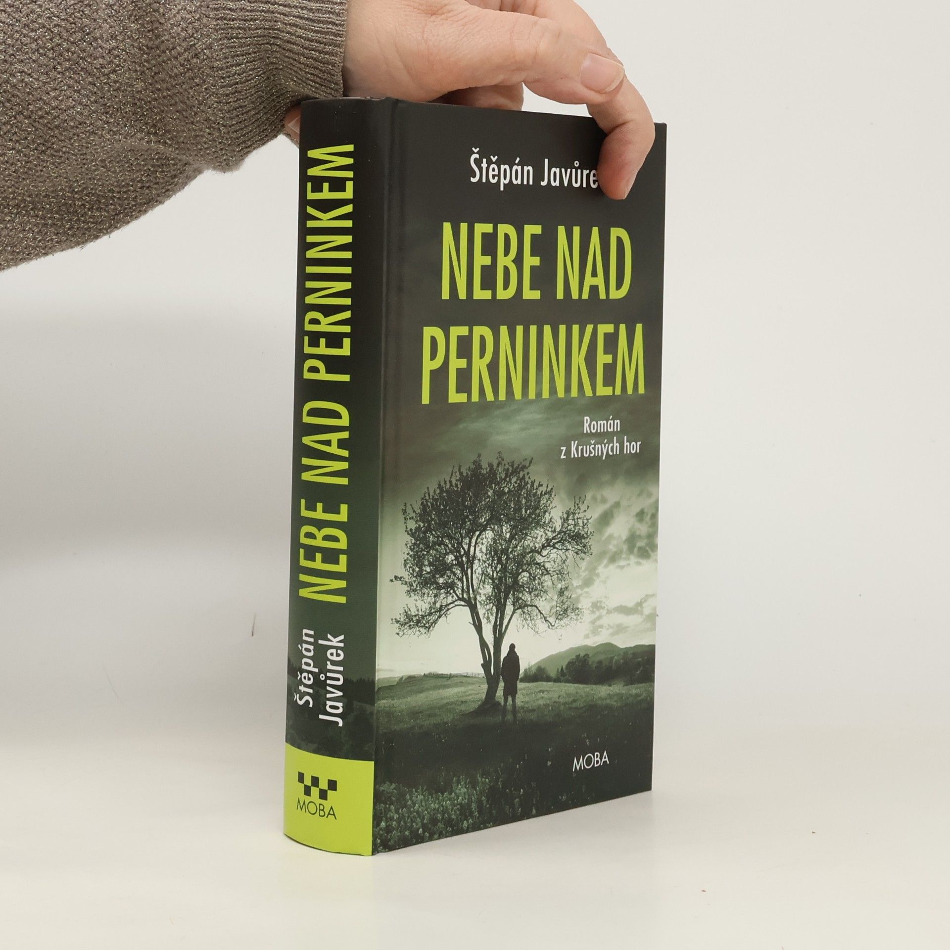 Nebe nad Perninkem: Román z Krušých hor (2026)