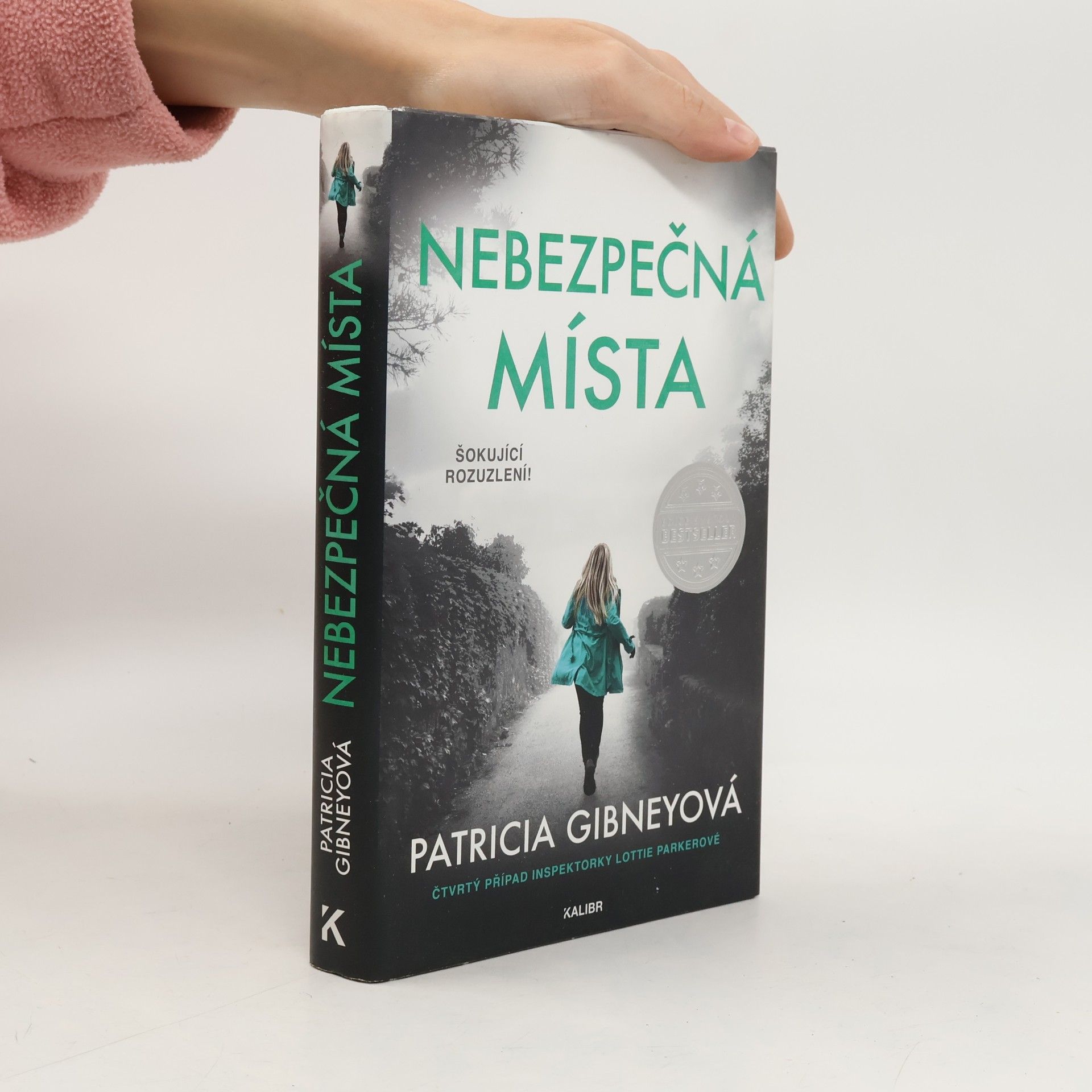 Patricia Gibney Nebezpečná místa
