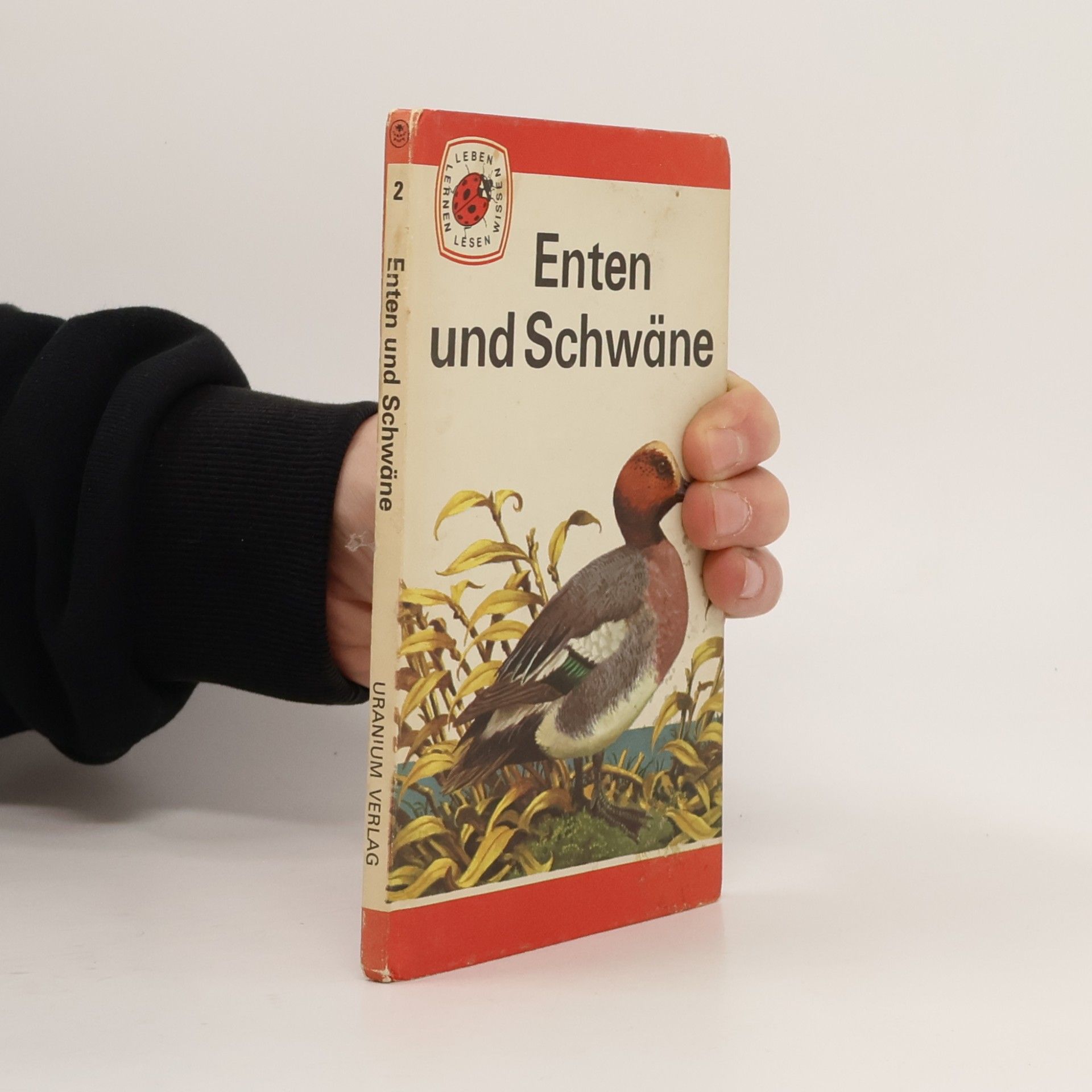 Enten und Schwäne 2