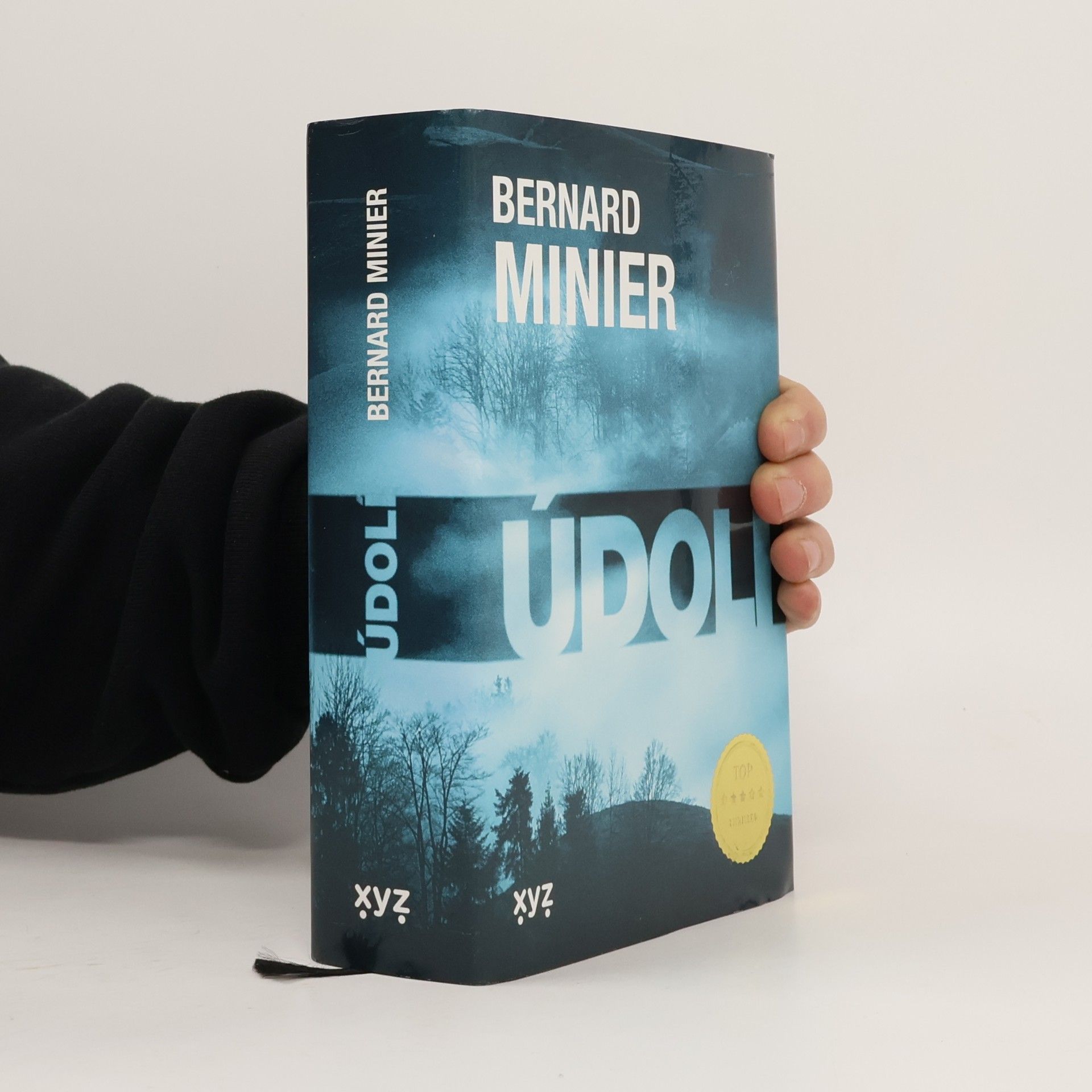 Údolí
