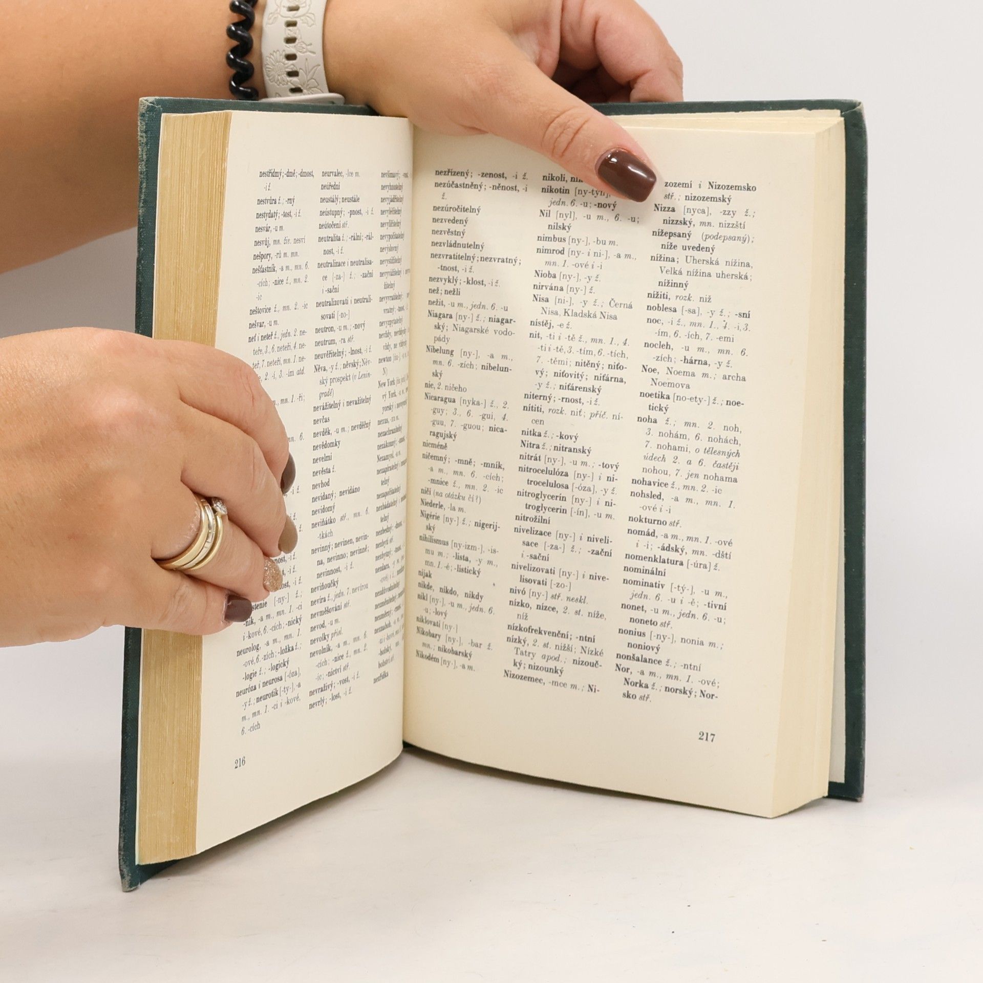 Various authors Pravidla českého pravopisu