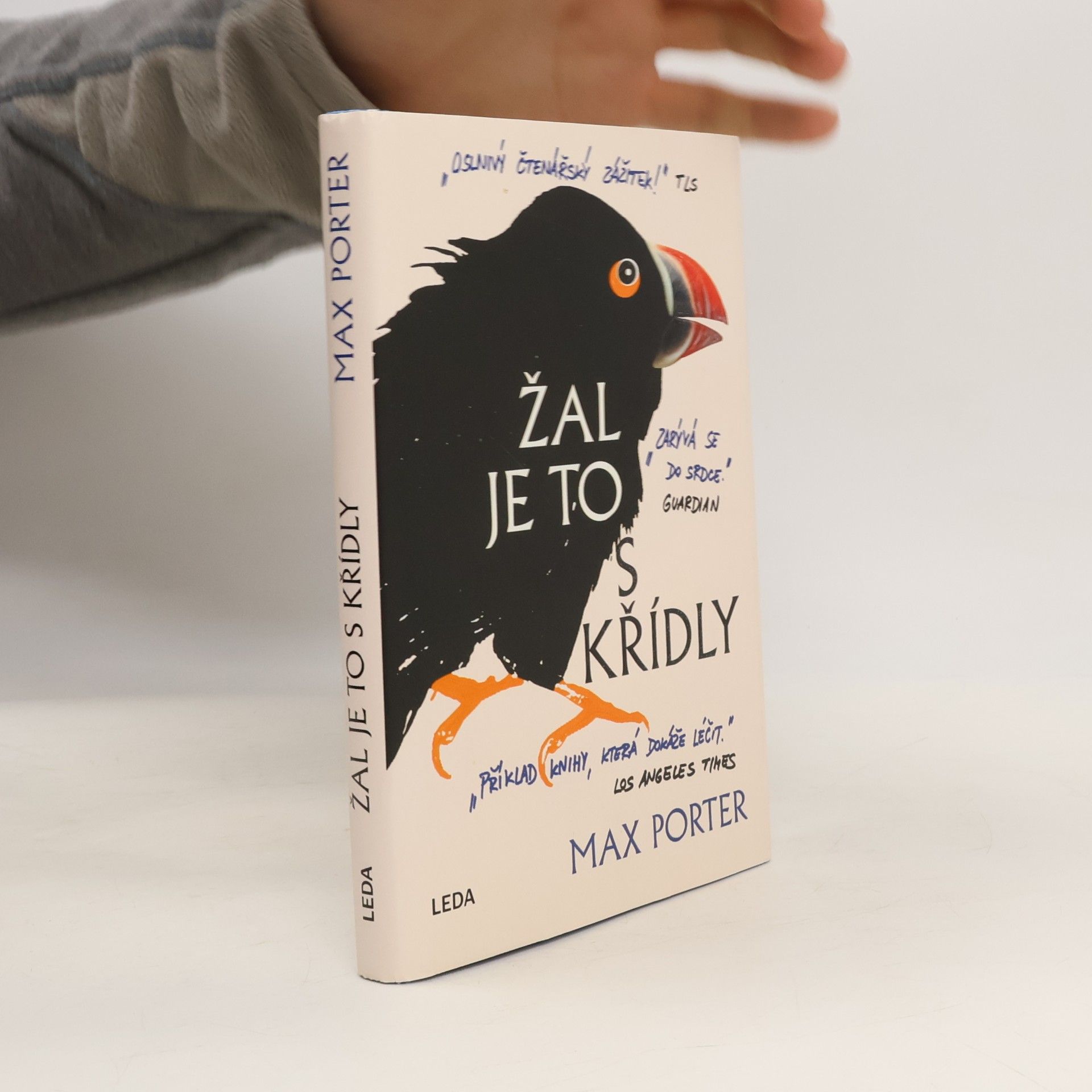 Jana Jašová Žal je to s křídly