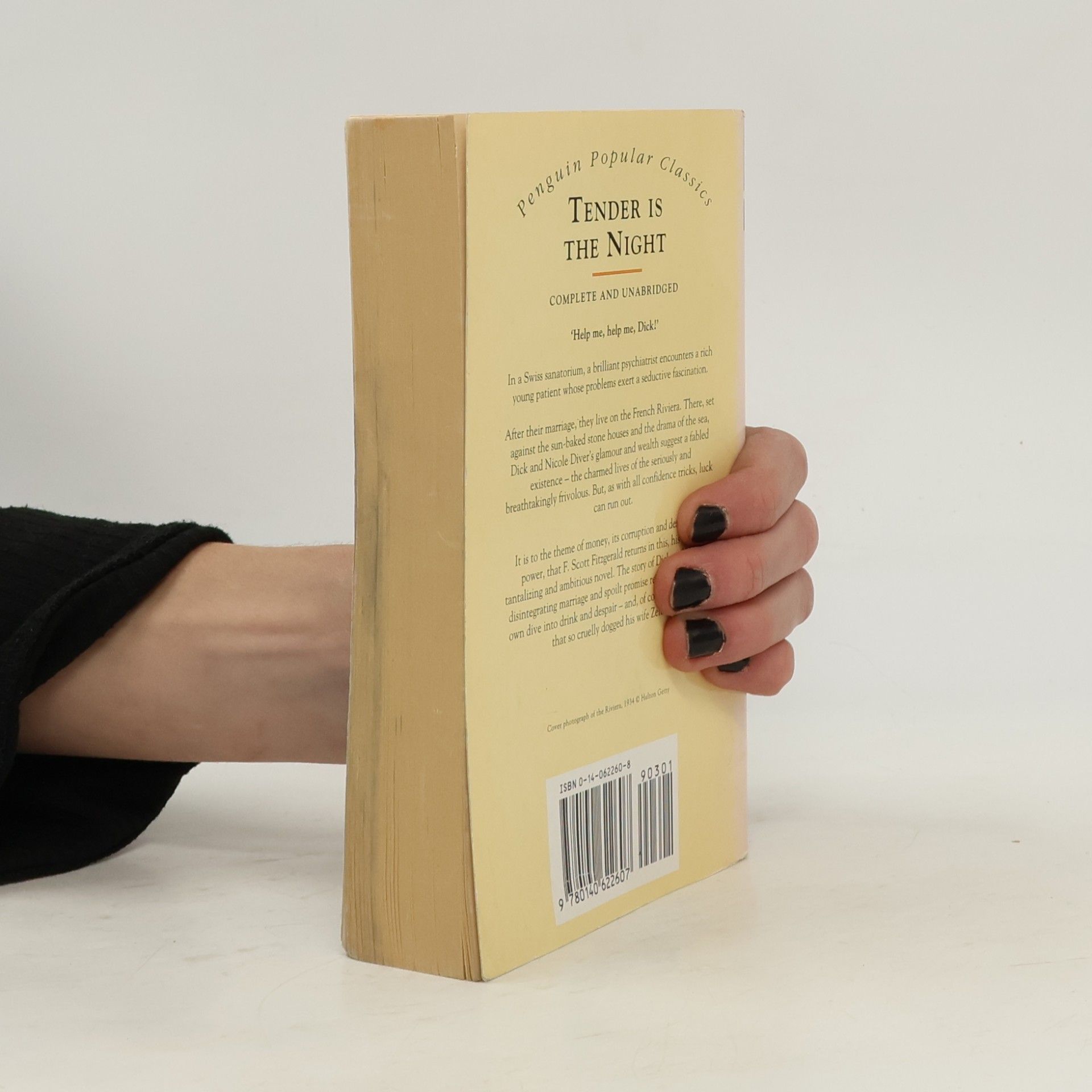 Francis Scott Fitzgerald Tender is the Night