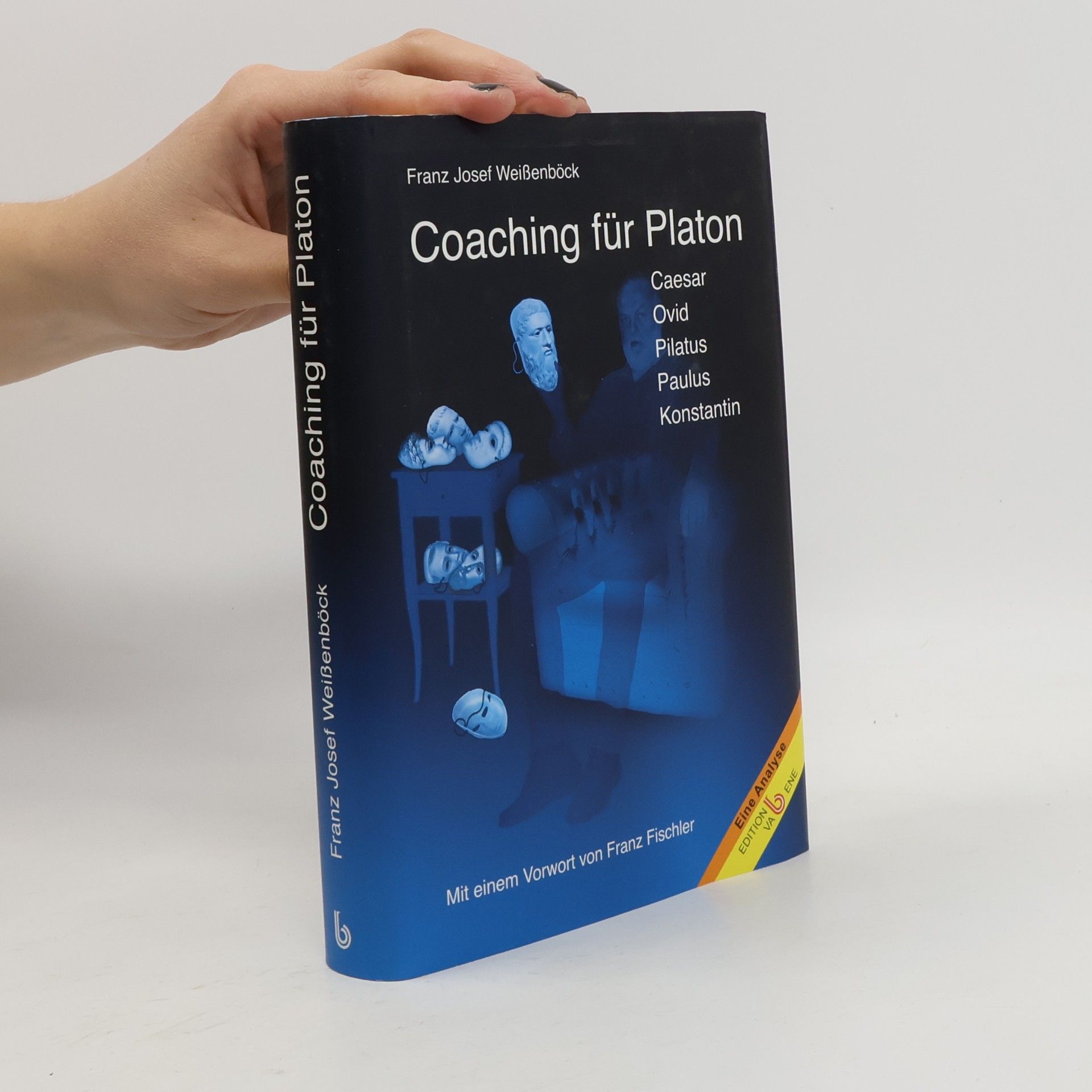 Coaching für Platon