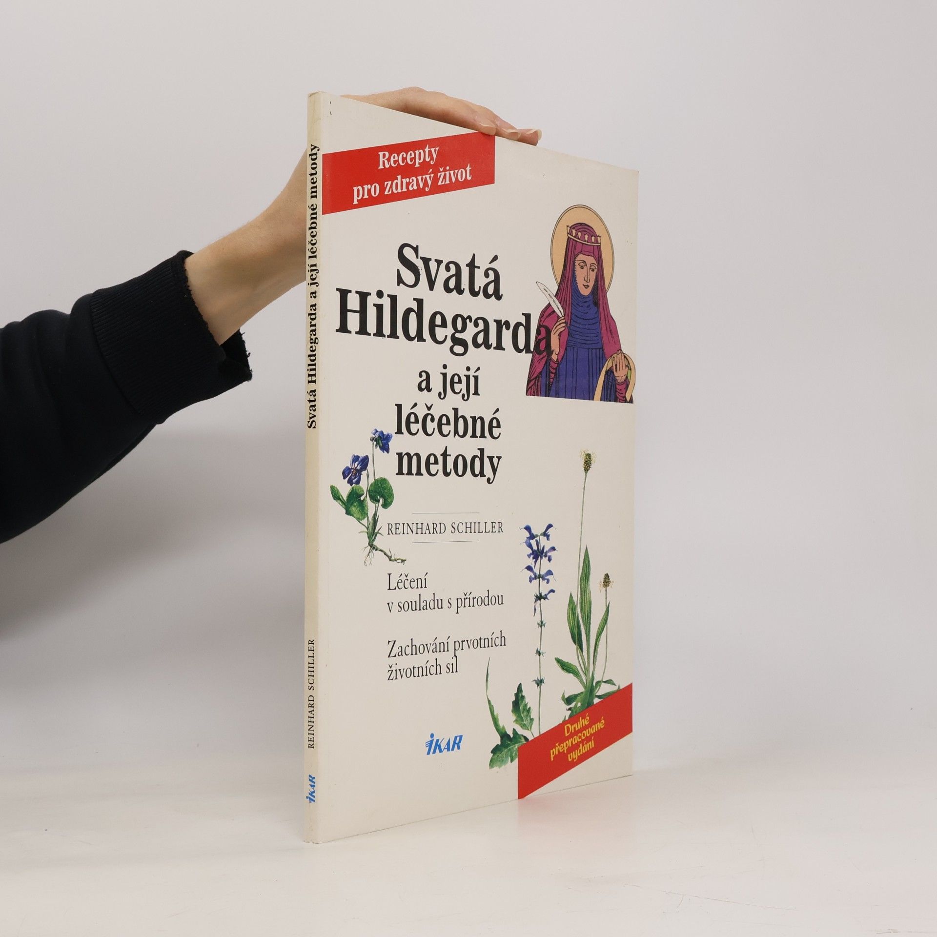 Svatá Hildegarda a její léčebné metody