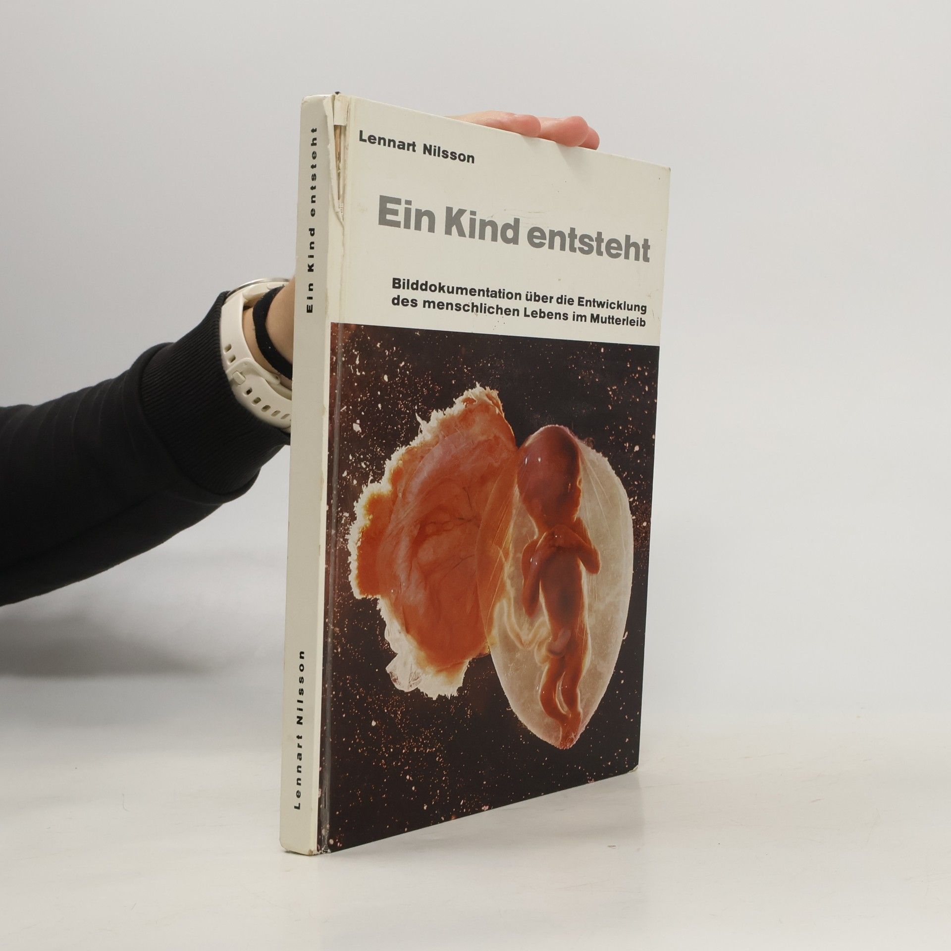 Ein Kind entsteht