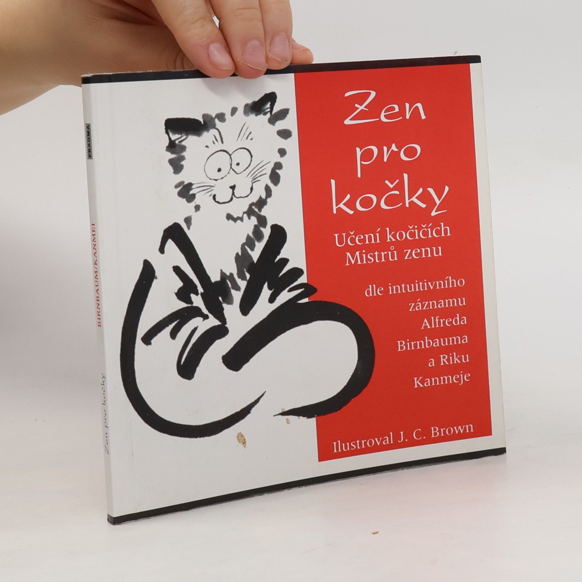 Zen pro kočky: Učení kočičích Mistrů zenu