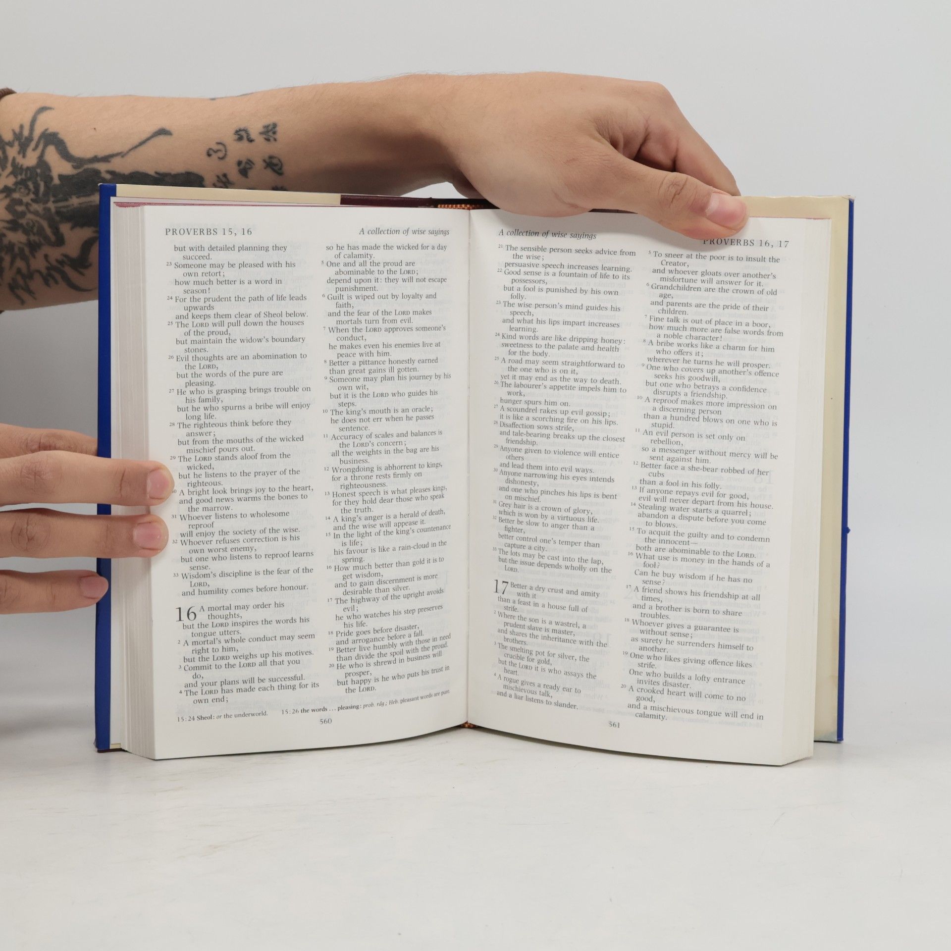 Kolektiv autorů The revised english Bible
