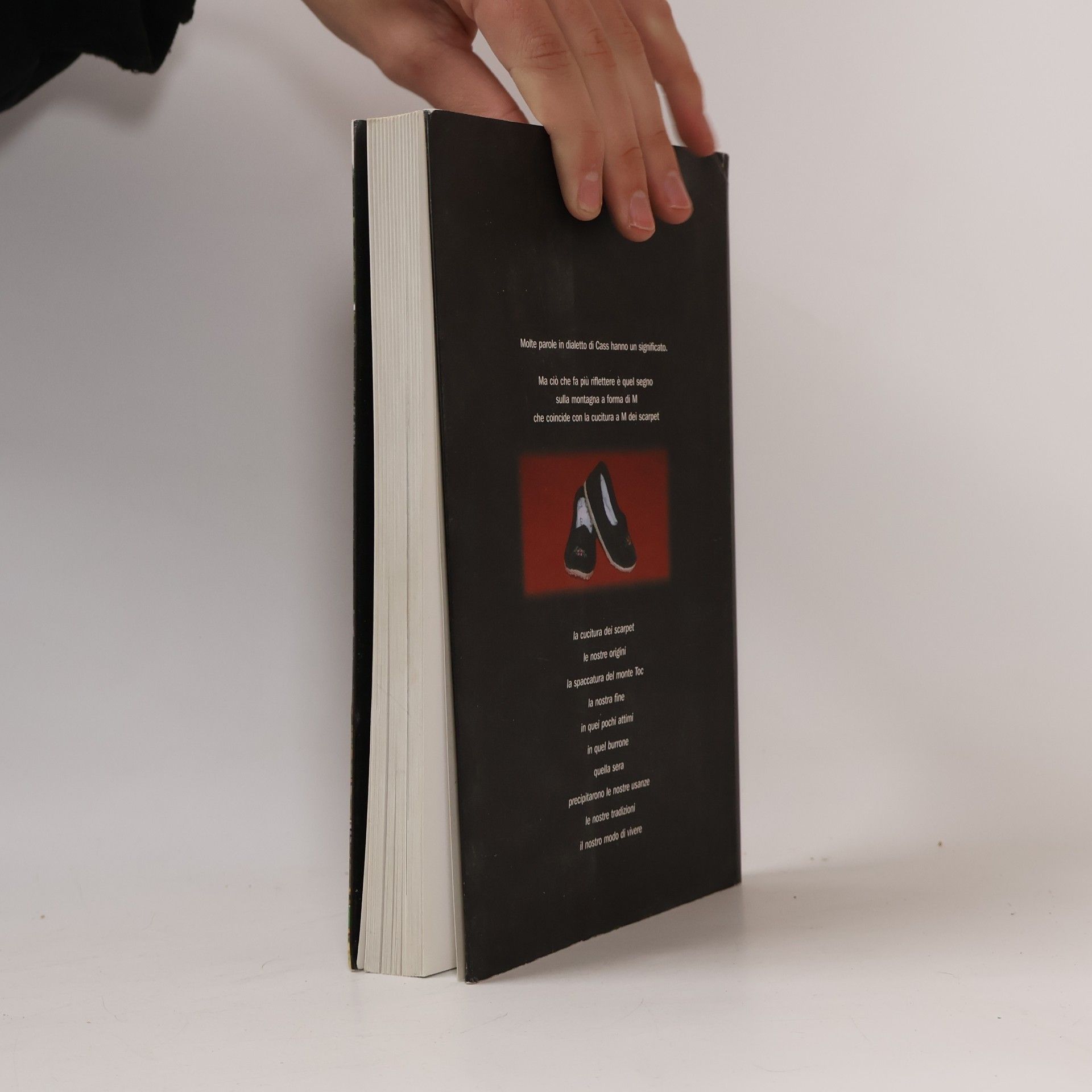 Various authors Vajont