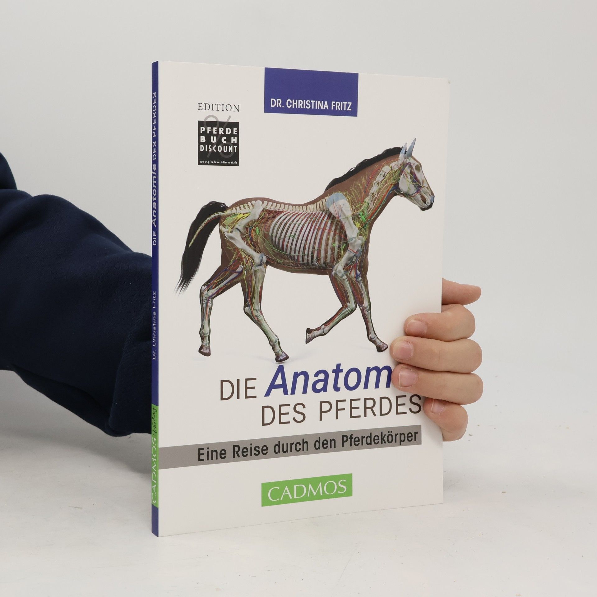 Die Anatomie des Pferdes