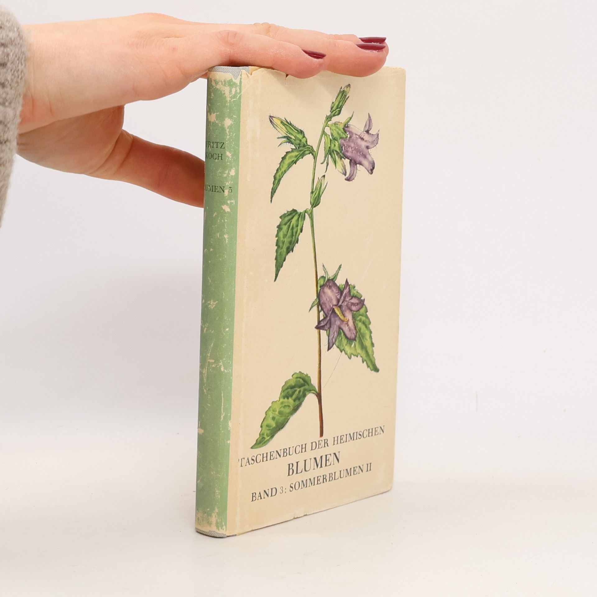 TASCHENBUCH DER HEIMISCHEN BLUMEN 3