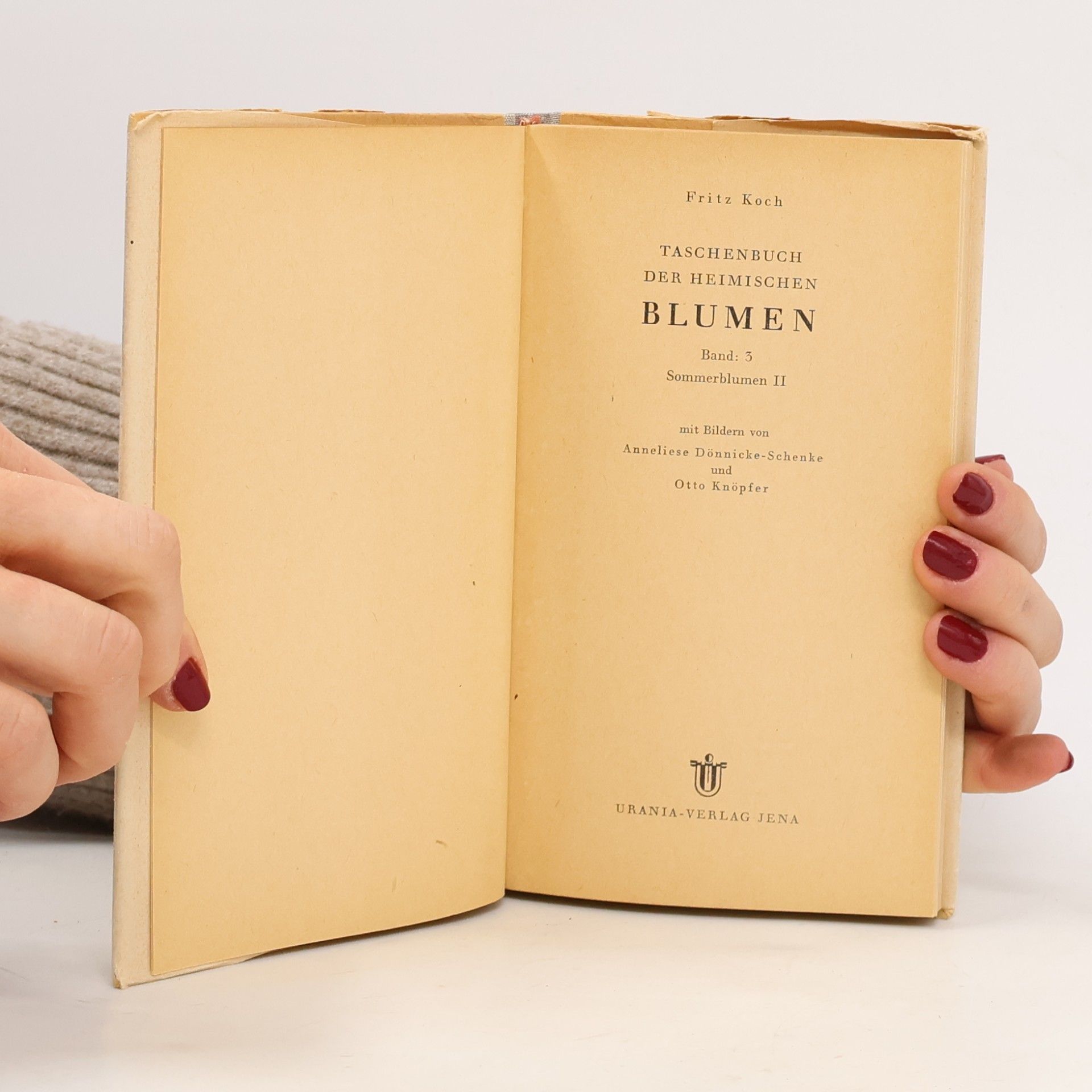Fritz Koch TASCHENBUCH DER HEIMISCHEN BLUMEN 3