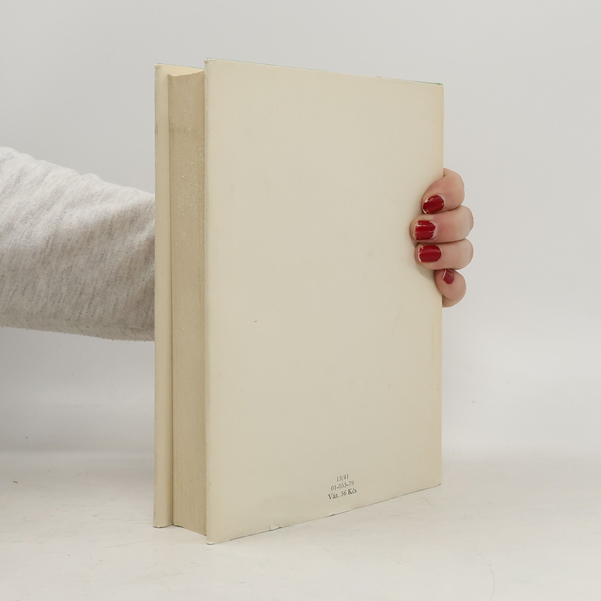 Various authors Český Rok Léto