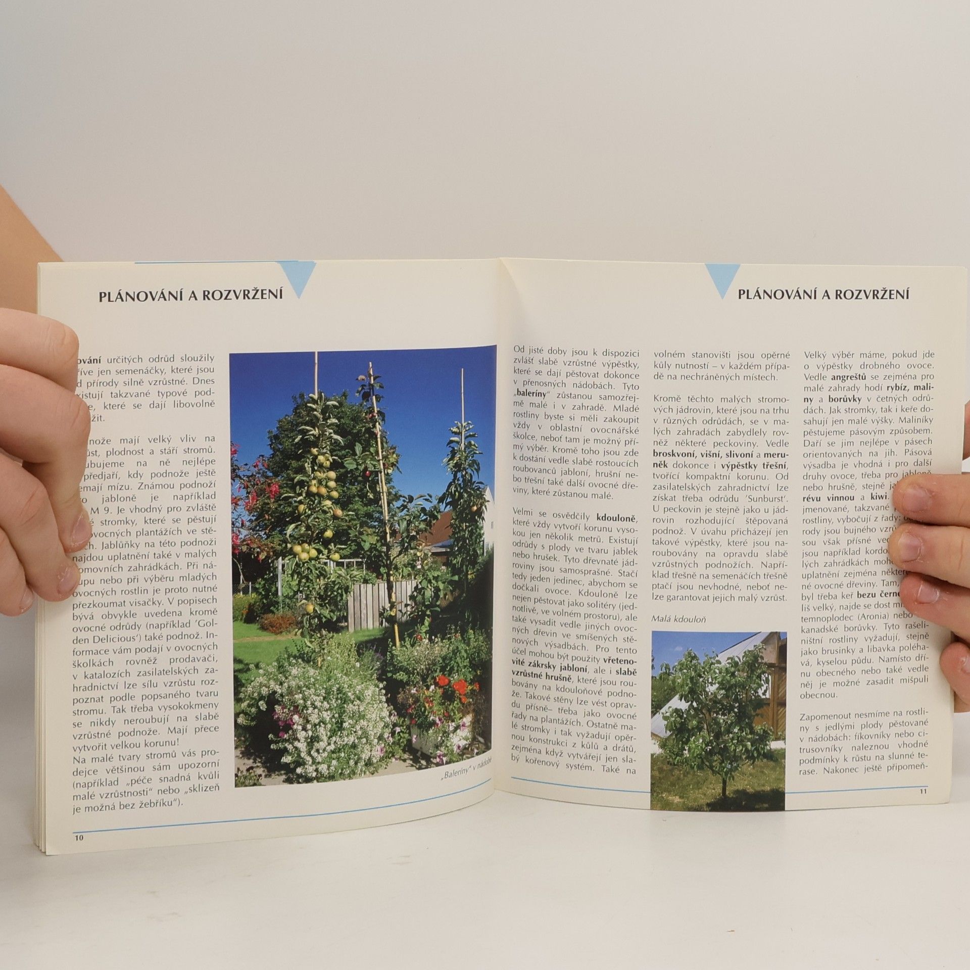 Peter Himmelhuber Ovocné a okrasné dřeviny – výsadba a řez