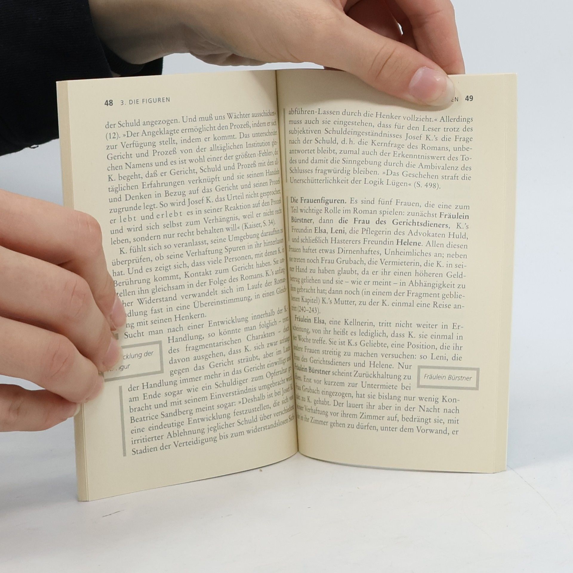 Wilhelm Große Franz Kafka, Der Proceß