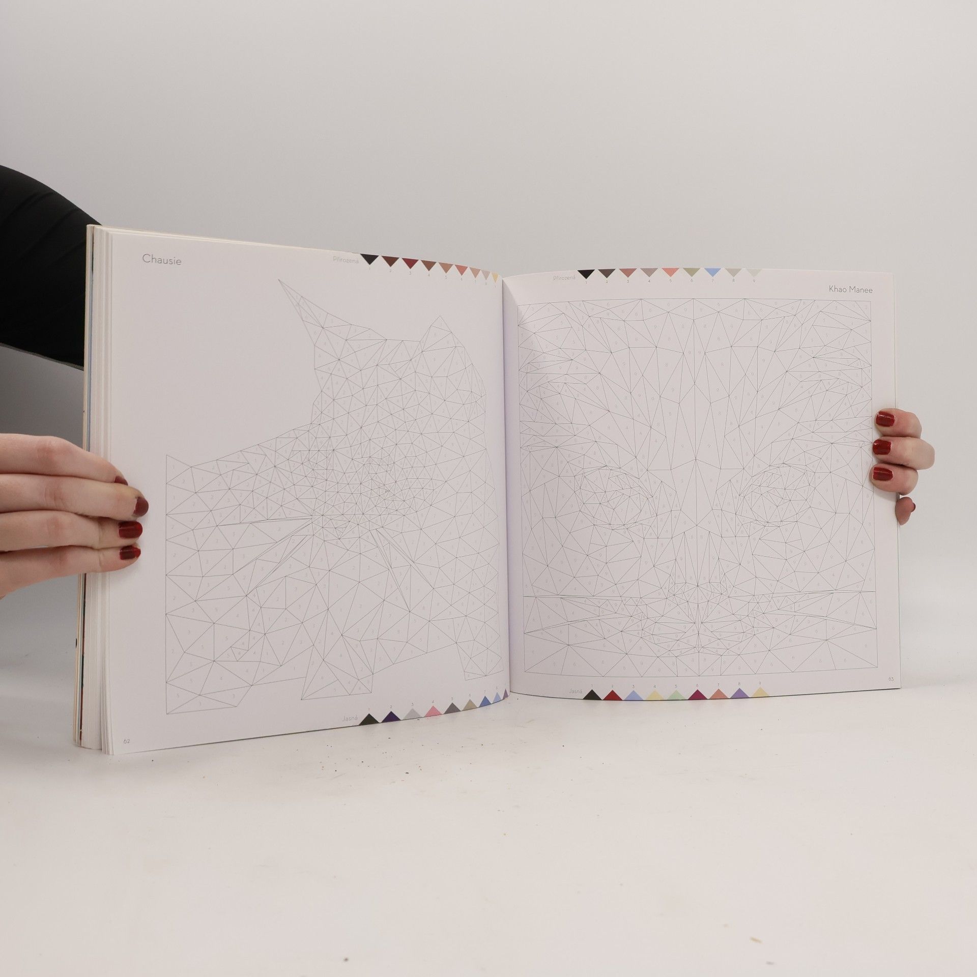 Petr Kotouš Vybarvi mě - kočky: Více než 60 mňoukajících geometrických ilustrací k vybarvení podle čísel