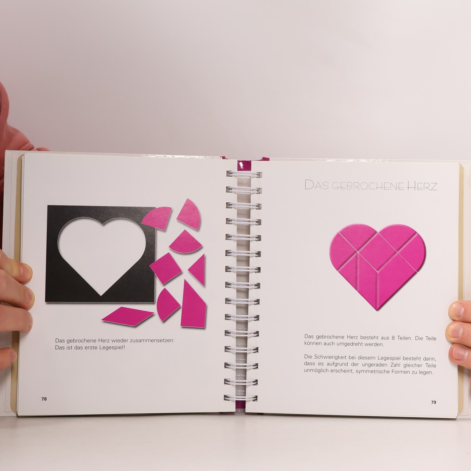 Daniel Picon Magisches Tangram