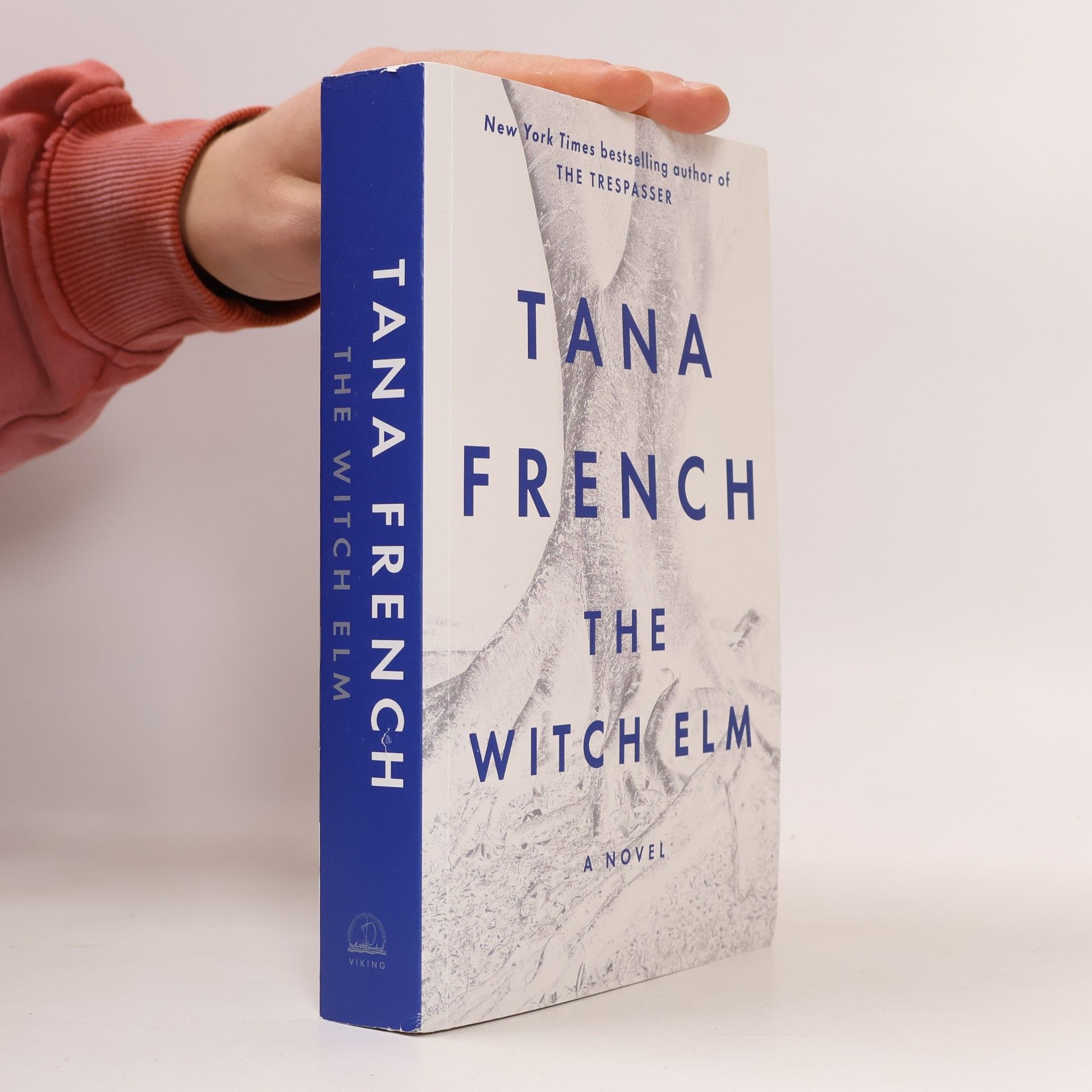 The Witch Elm