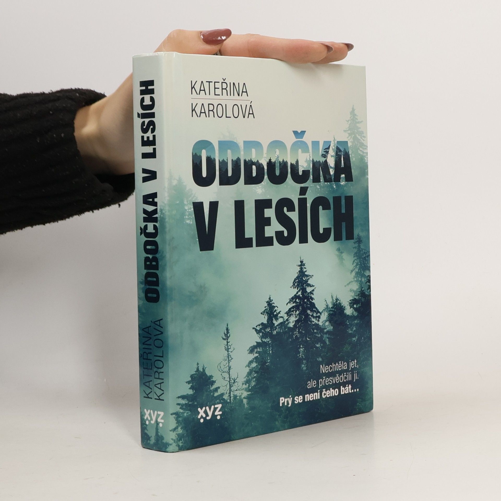 Odbočka v lesích