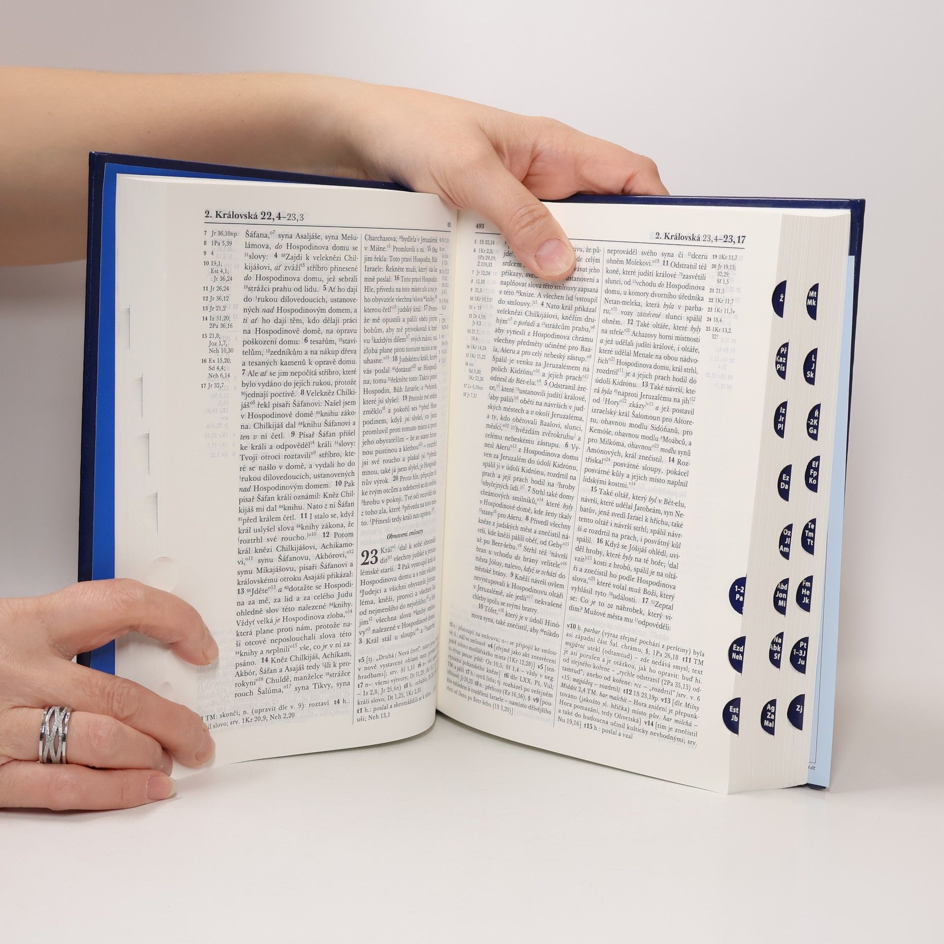 Autorenkollektiv Bible : český studijní překlad