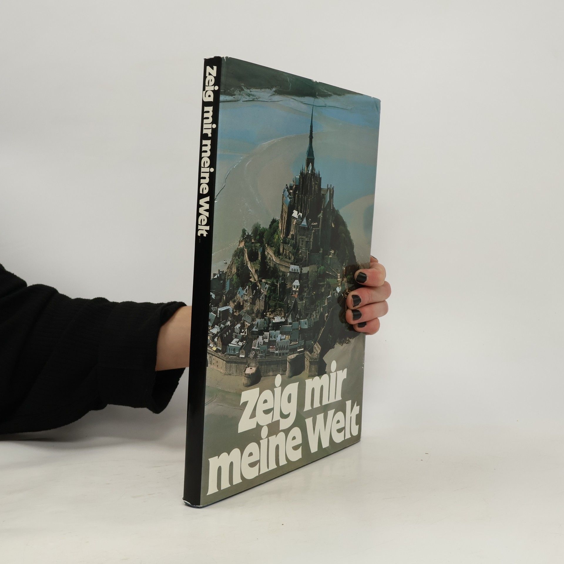 Collectif d'auteurs Zeig mir meine Welt