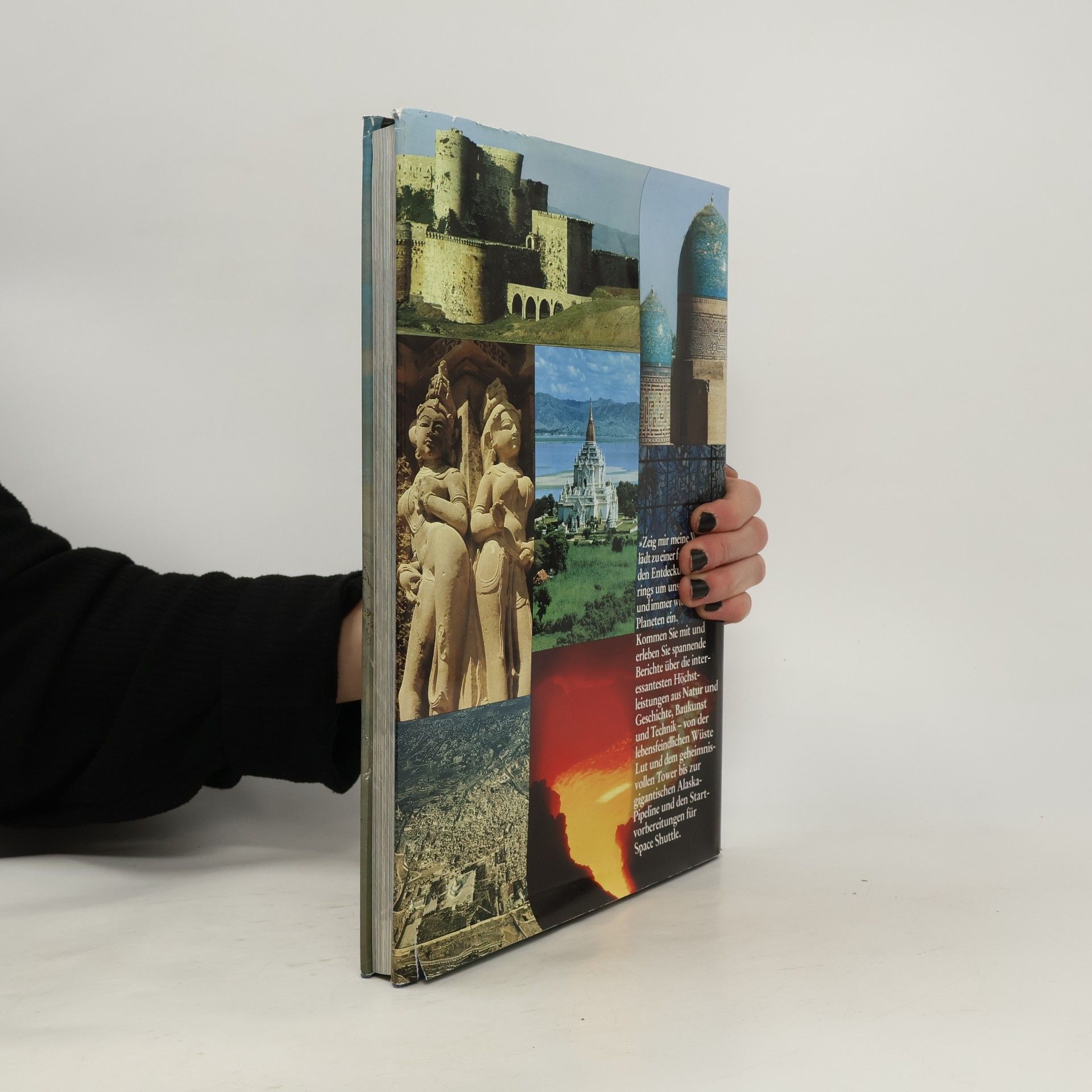 Collectif d'auteurs Zeig mir meine Welt