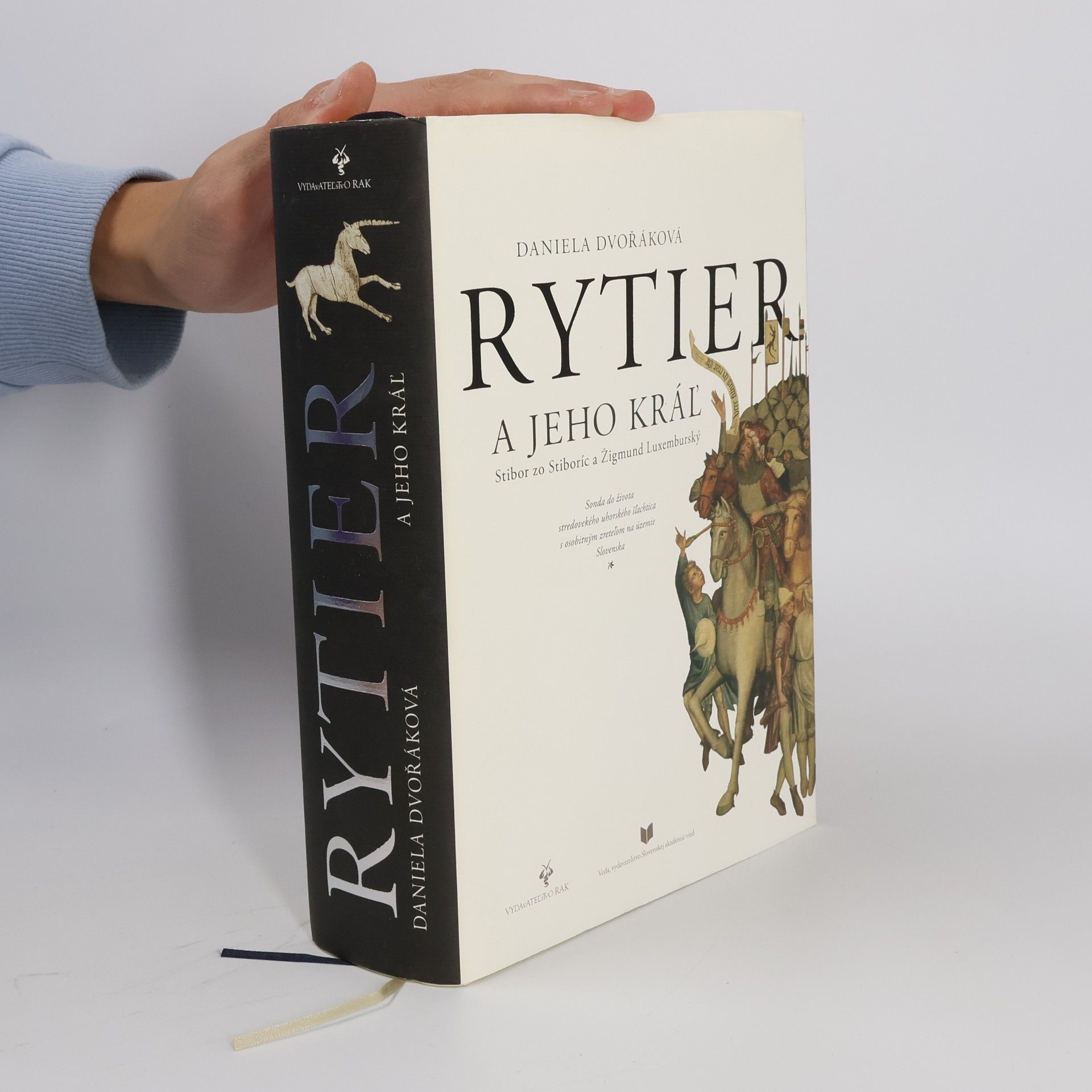 Rytier a jeho kráľ