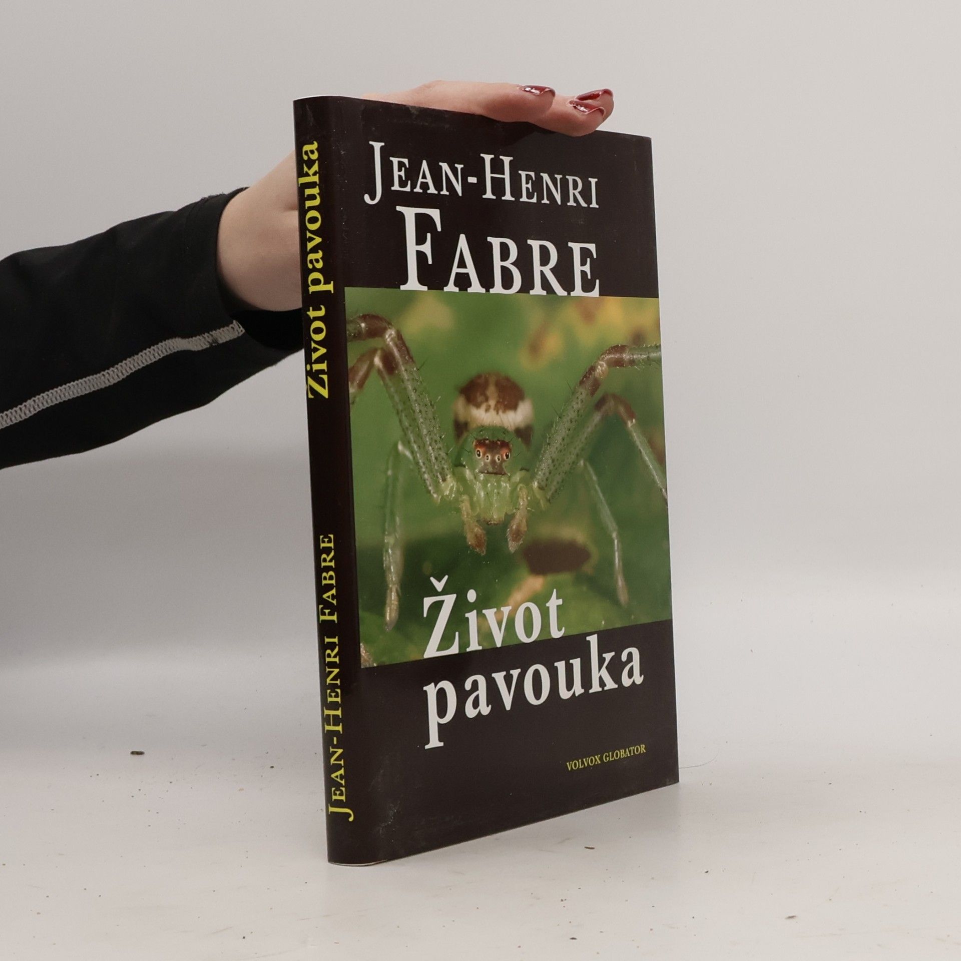 Život pavouka