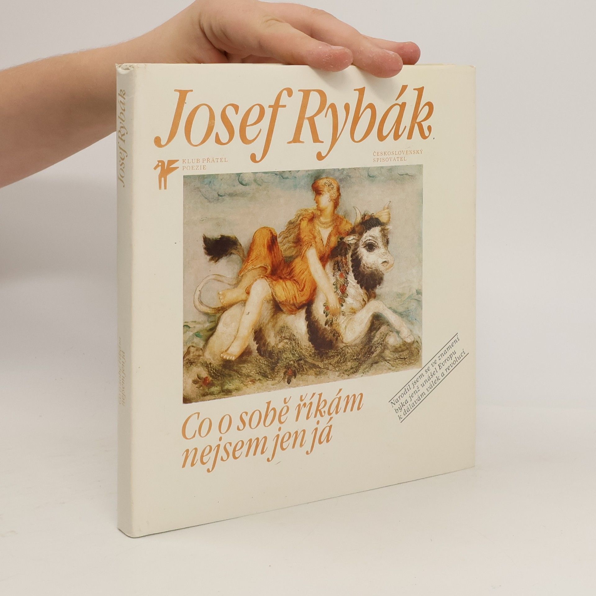 Co o sobě říkám nejsem jen já