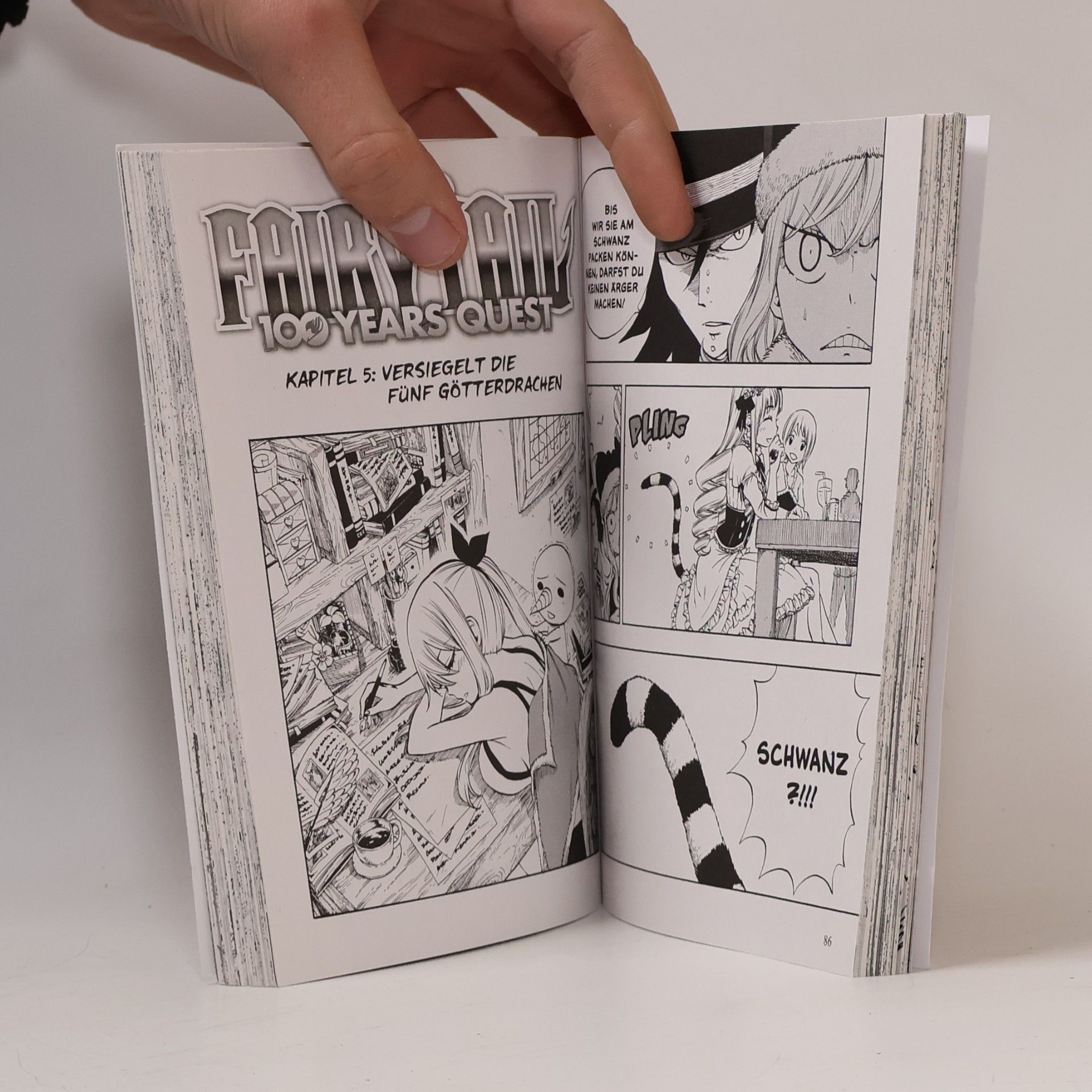 Hiro M. Fairy Tail – 100 Years Quest 1