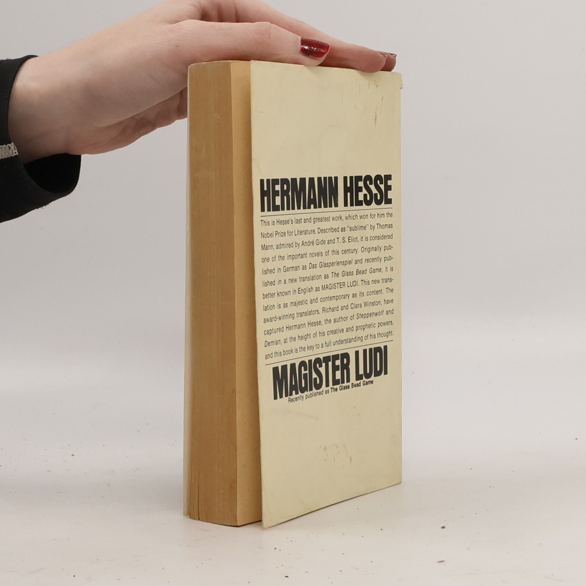 Hermann Hesse Magister Ludi