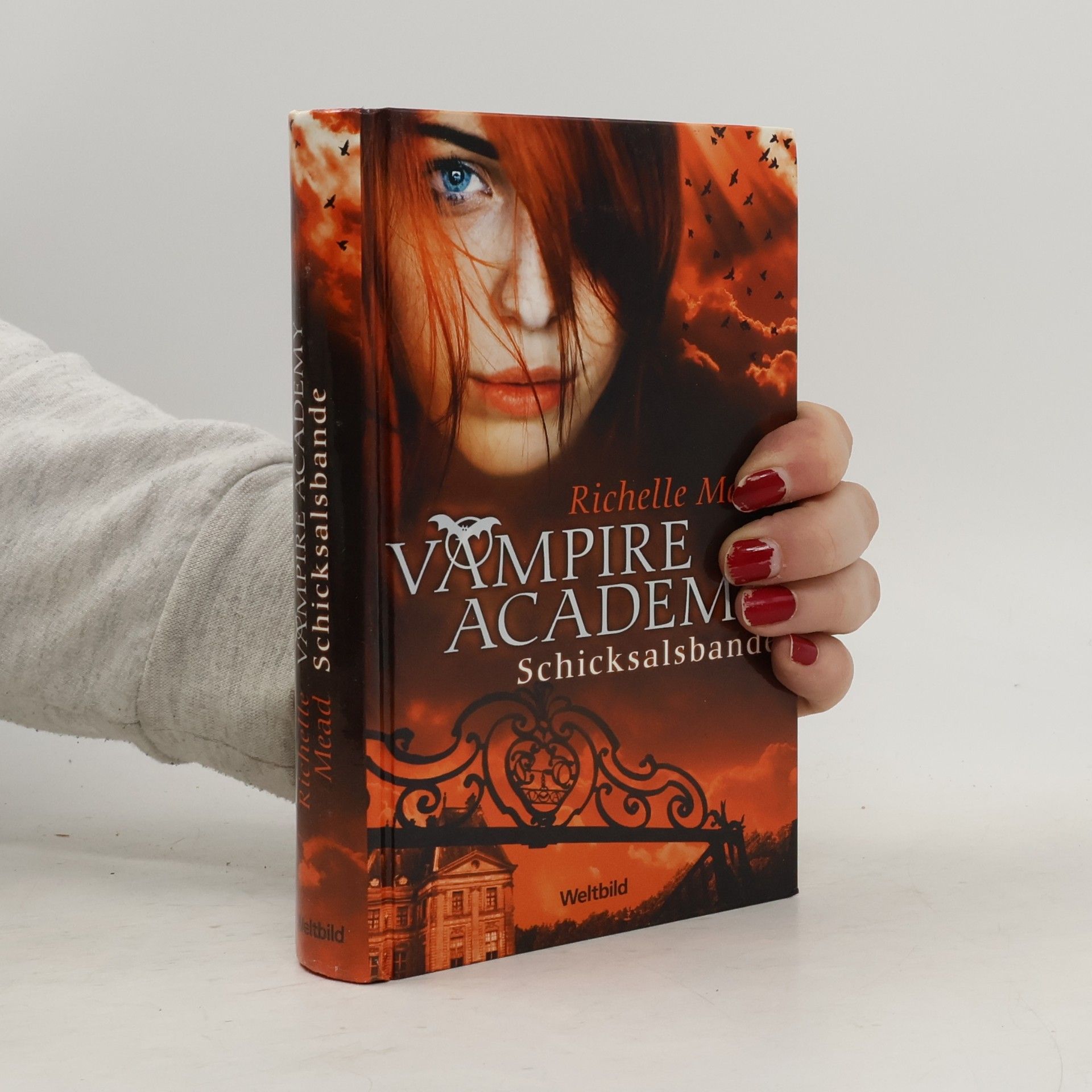 Richelle Mead Vampire Academy. Schicksalsbande