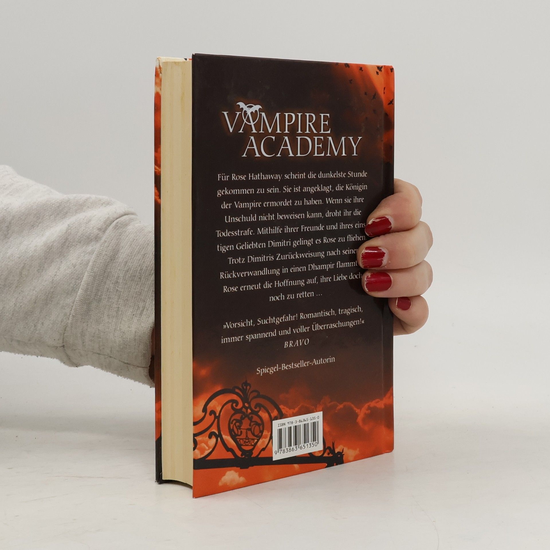 Richelle Mead Vampire Academy. Schicksalsbande
