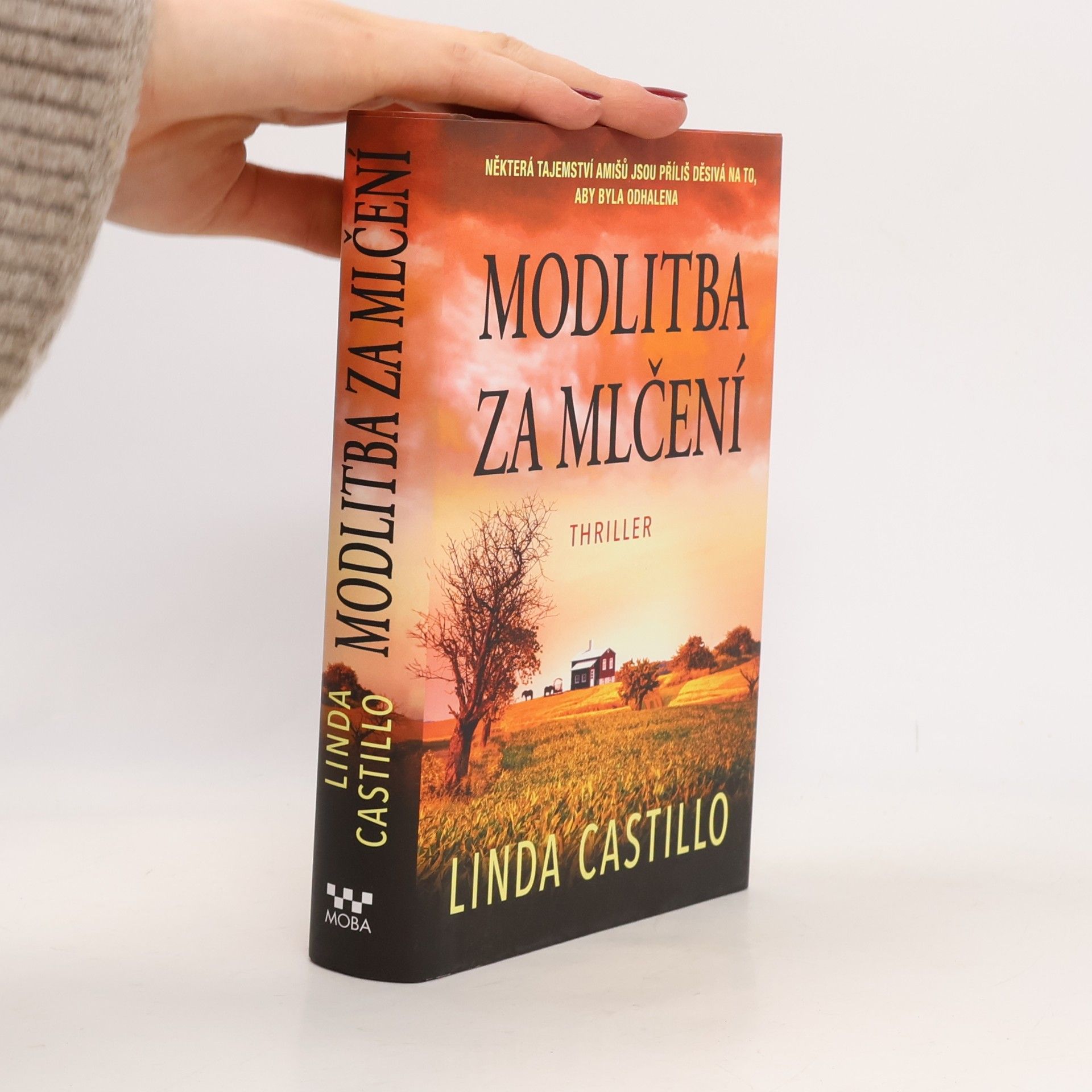 Modlitba za mlčení