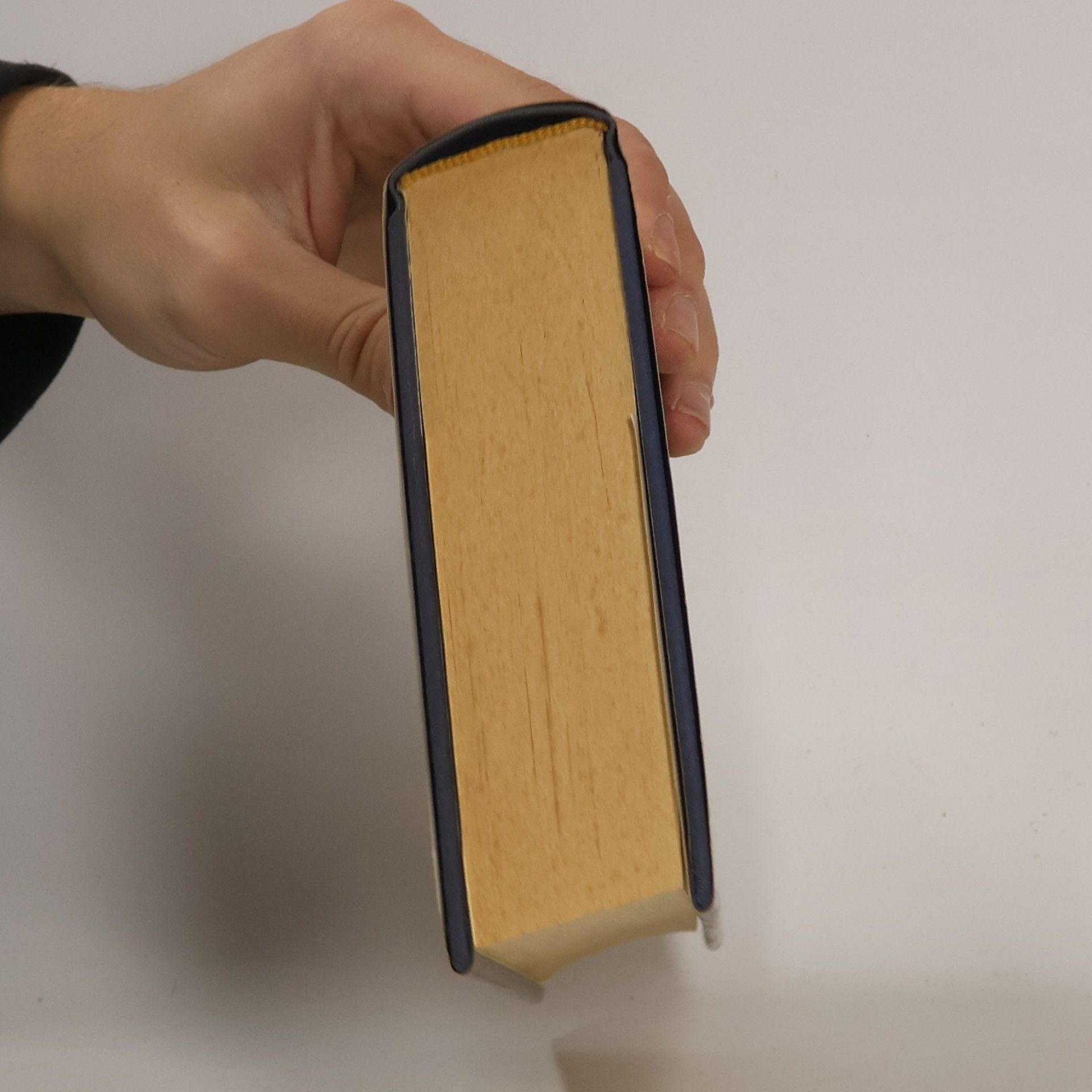 Jean Plaidy Der Fluch der Opale