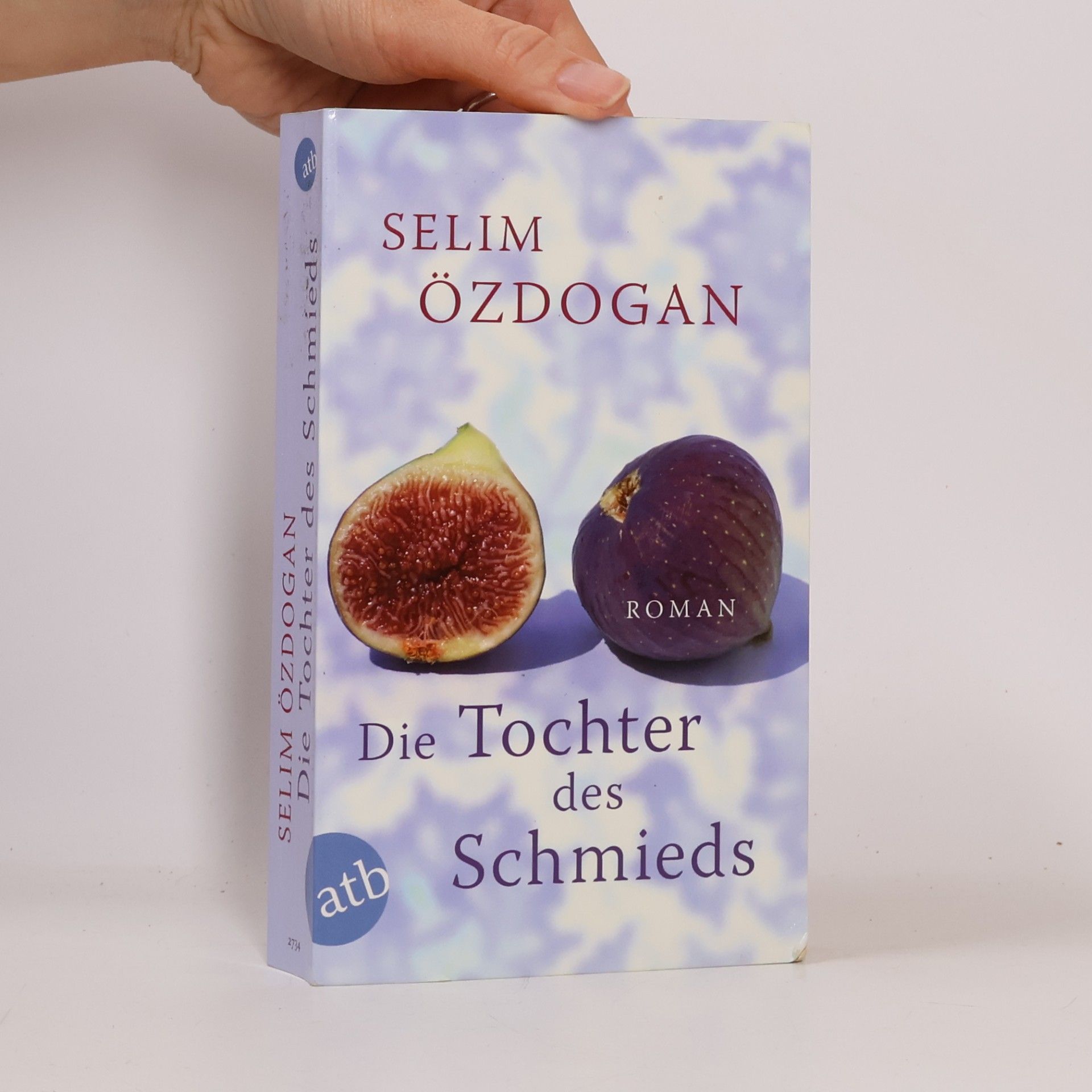Selim Özdogan Die Tochter des Schmieds