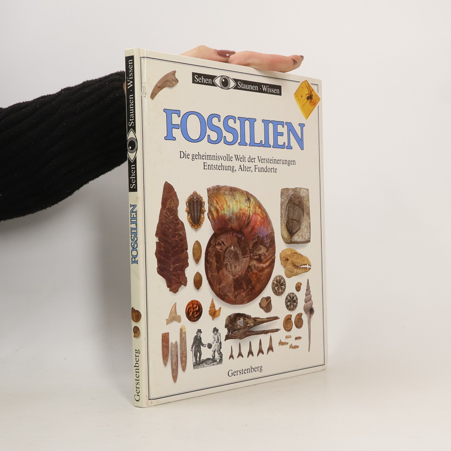 Fossilien