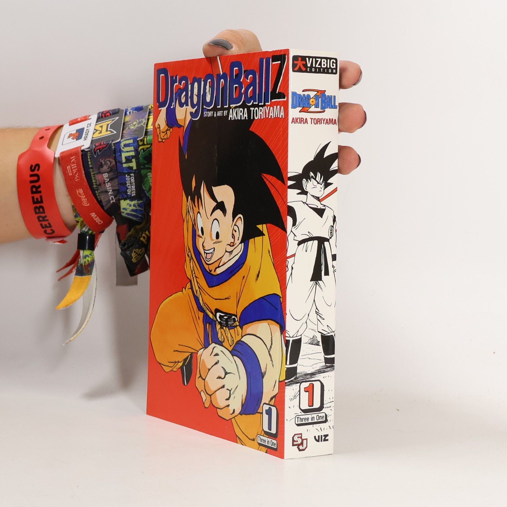 Dragon Ball Z (Vizbig Edition), Vol. 1
