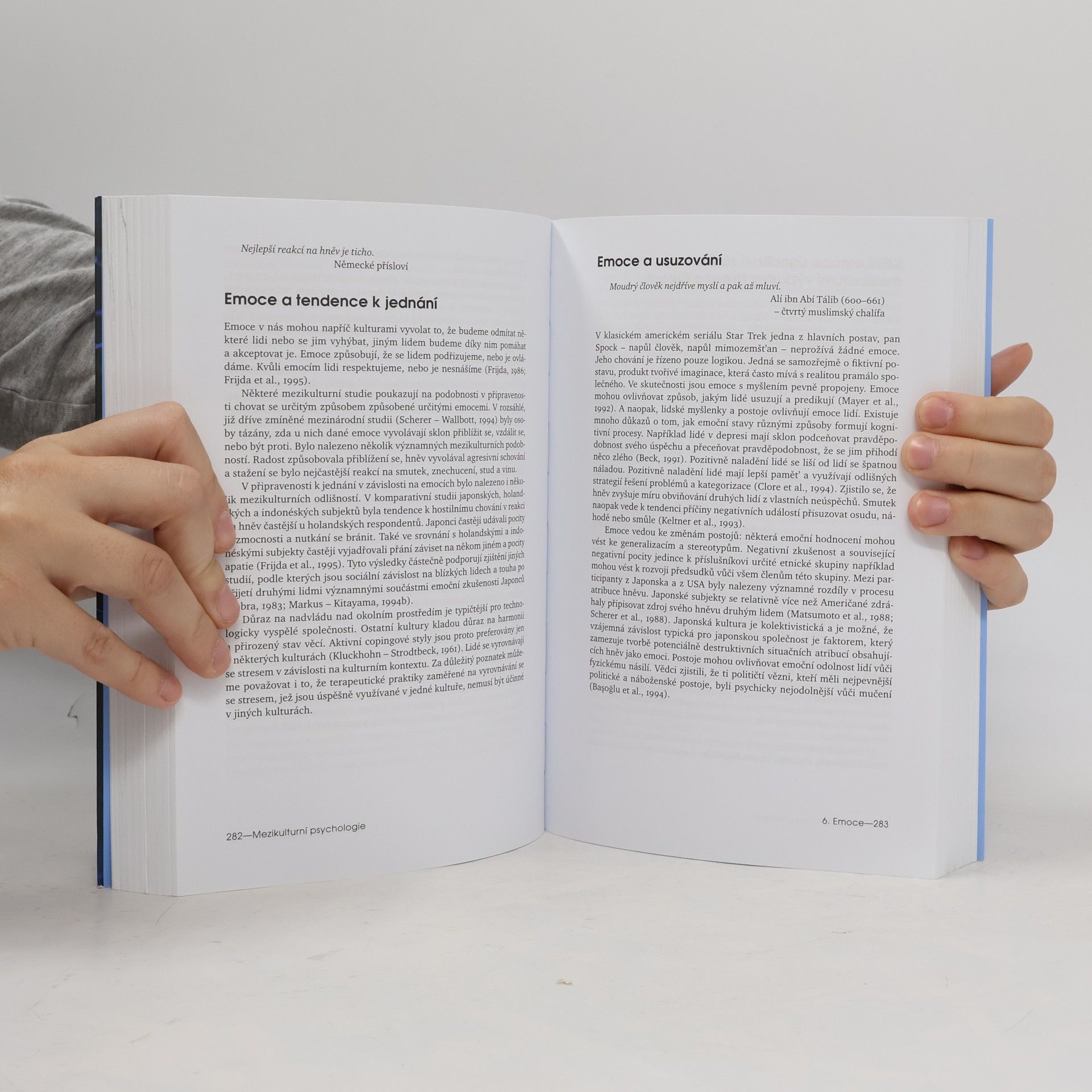 Eric B. Shiraev Mezikulturní psychologie: Kriticky a aplikovaně