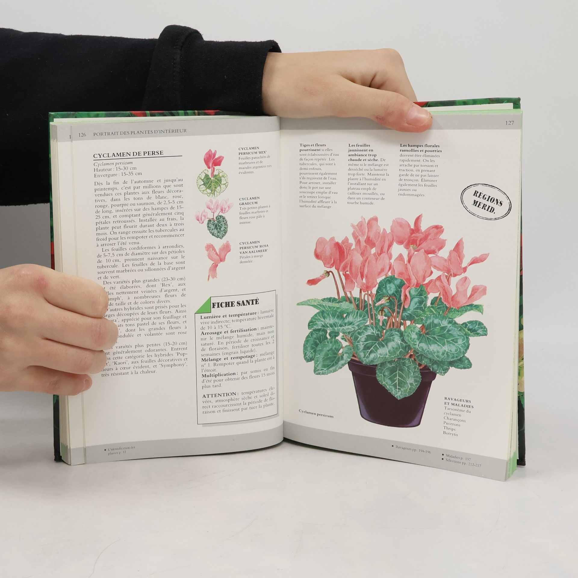 David Squire Le Guide des plantes d'intérieur