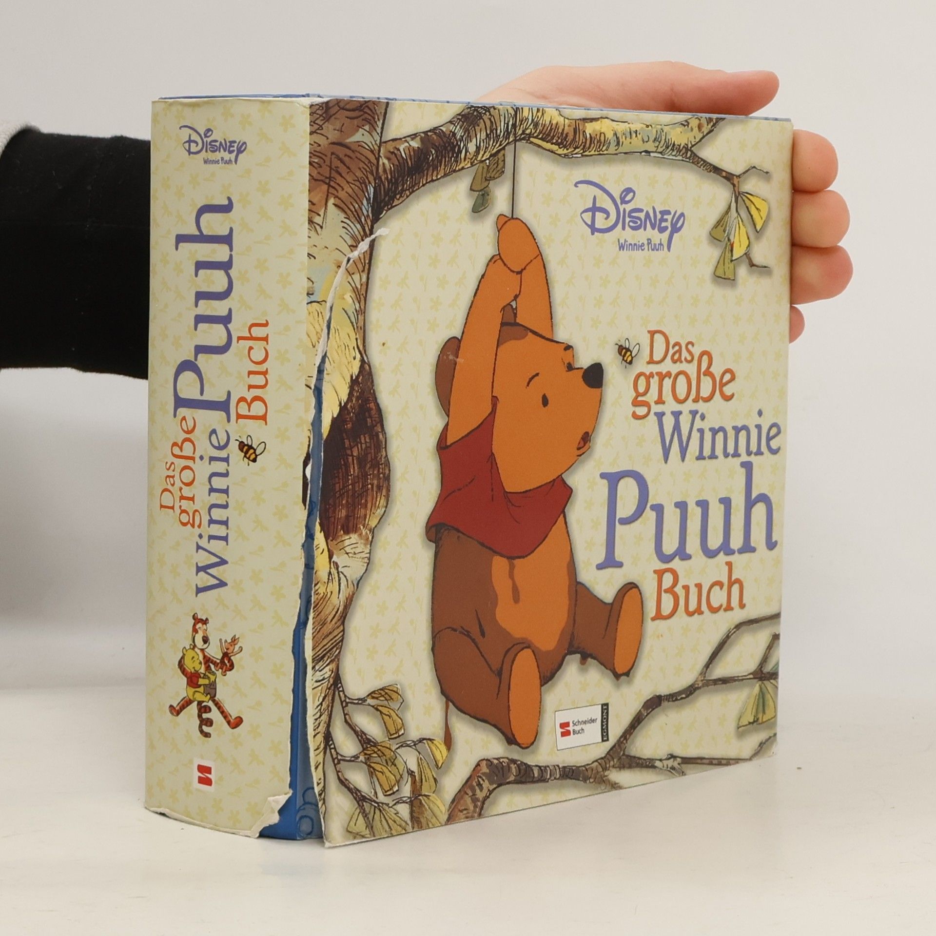 Das große Winnie-Puuh-Buch