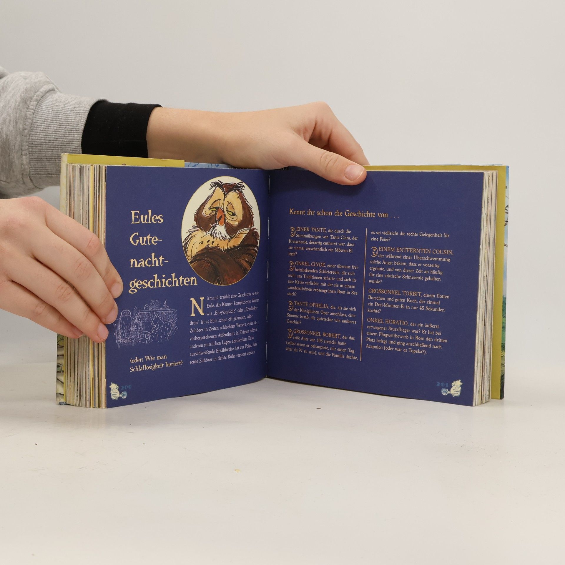 Monique Peterson Das große Winnie-Puuh-Buch