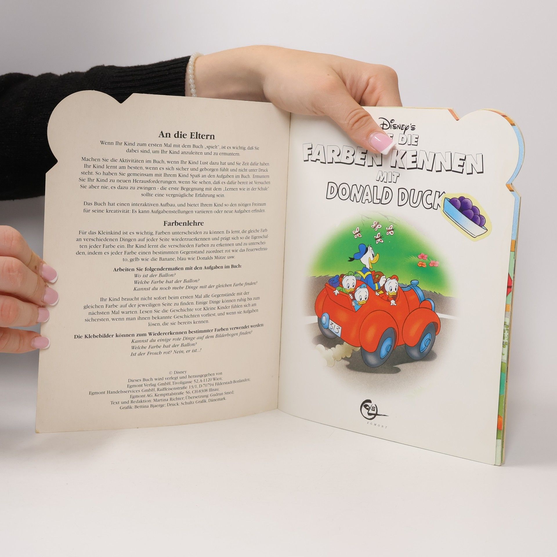 Martina Richter Lerne die Farben kennen mit Donald Duck