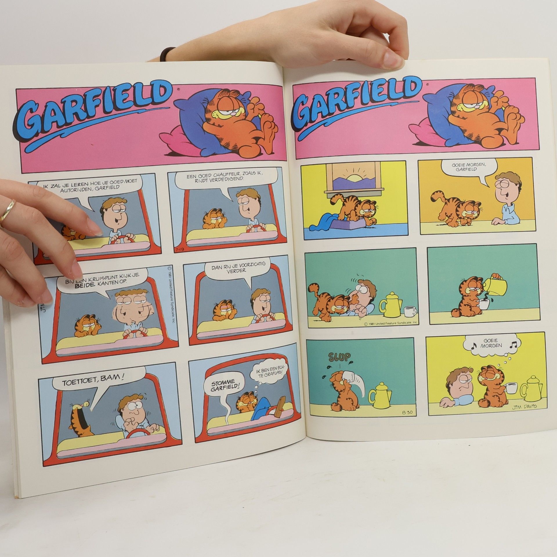 Jim Davis Garfield 15