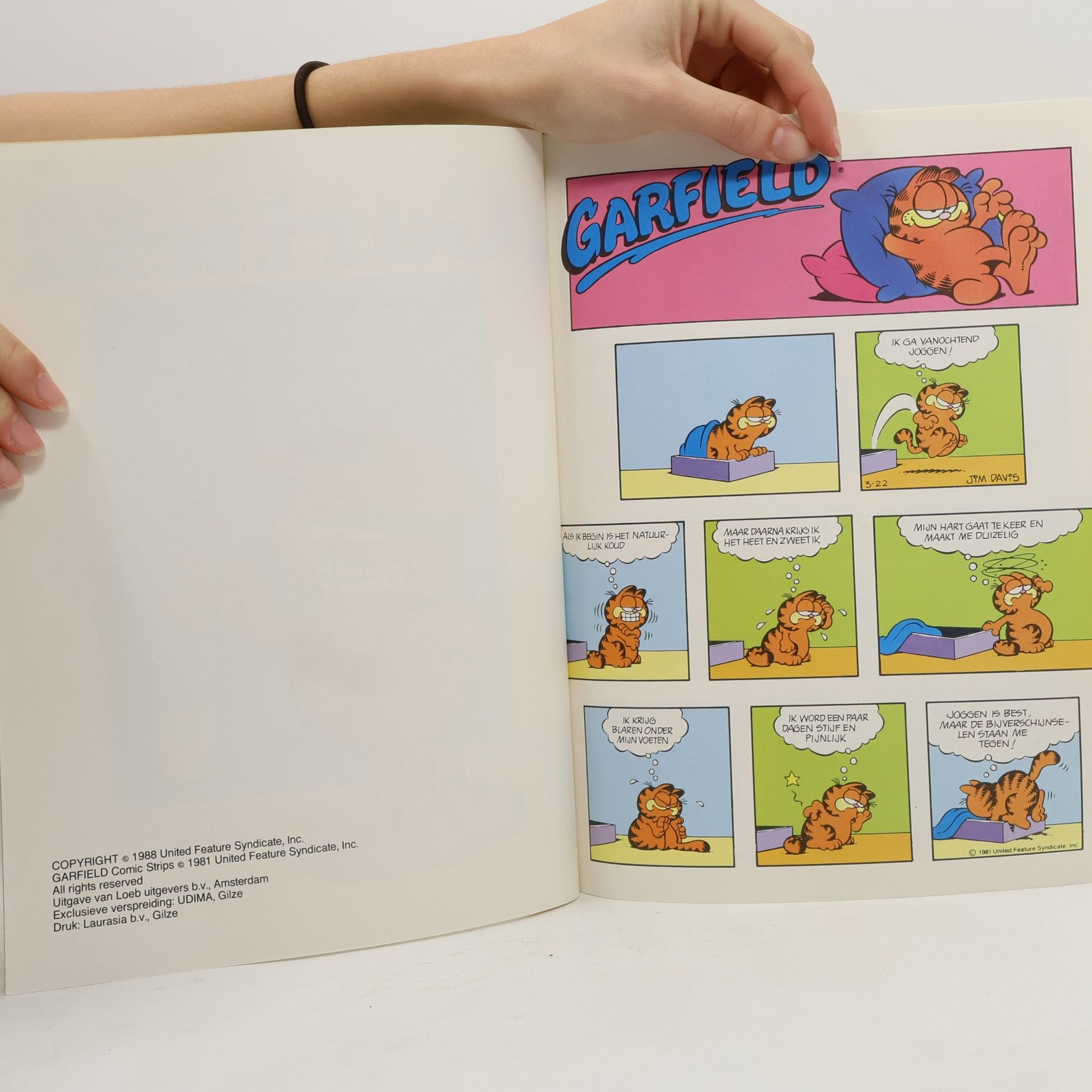Jim Davis Garfield 15