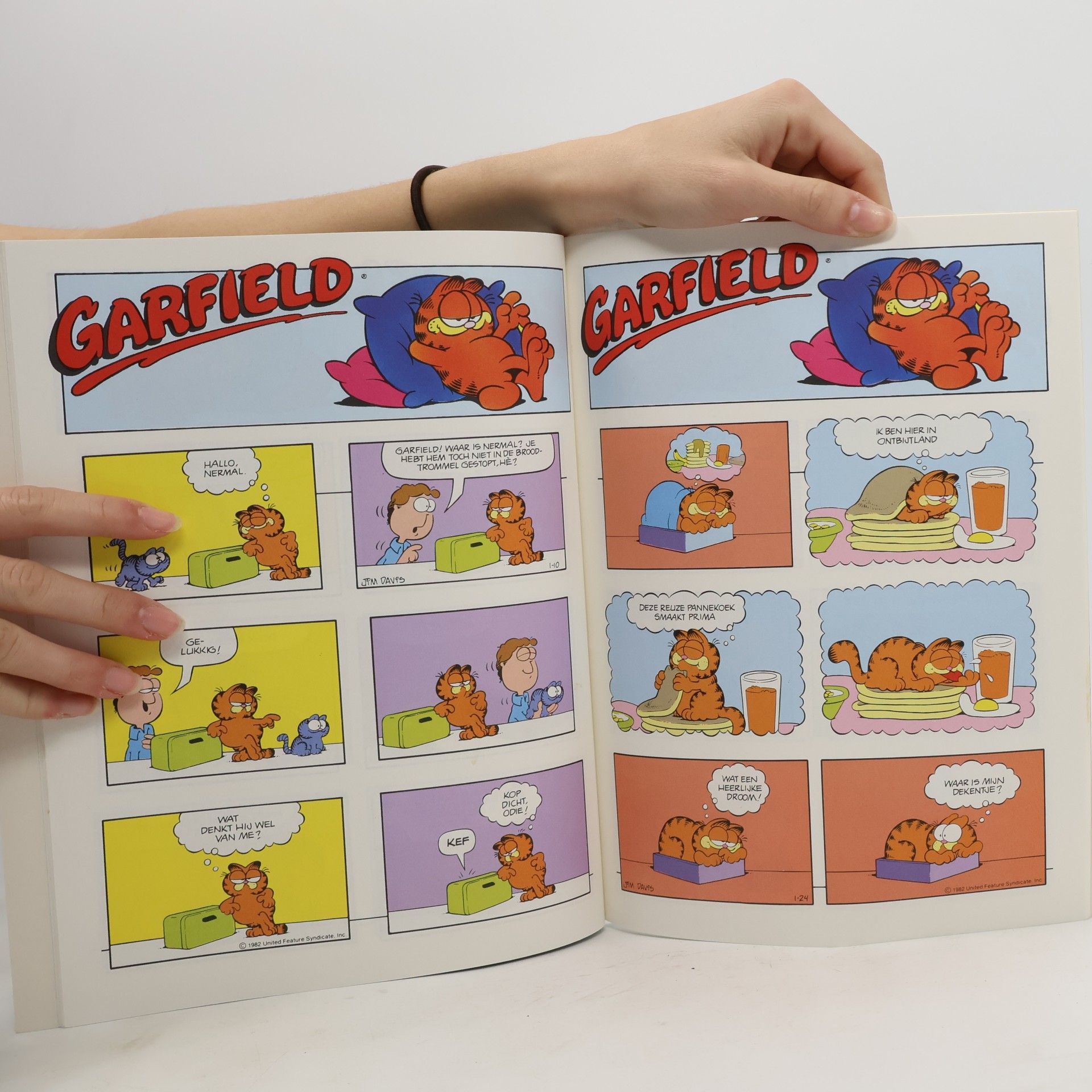 Jim Davis Garfield 17