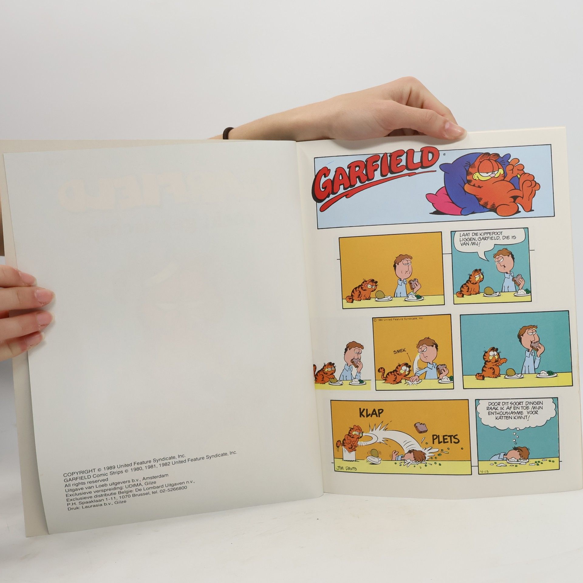 Jim Davis Garfield 17