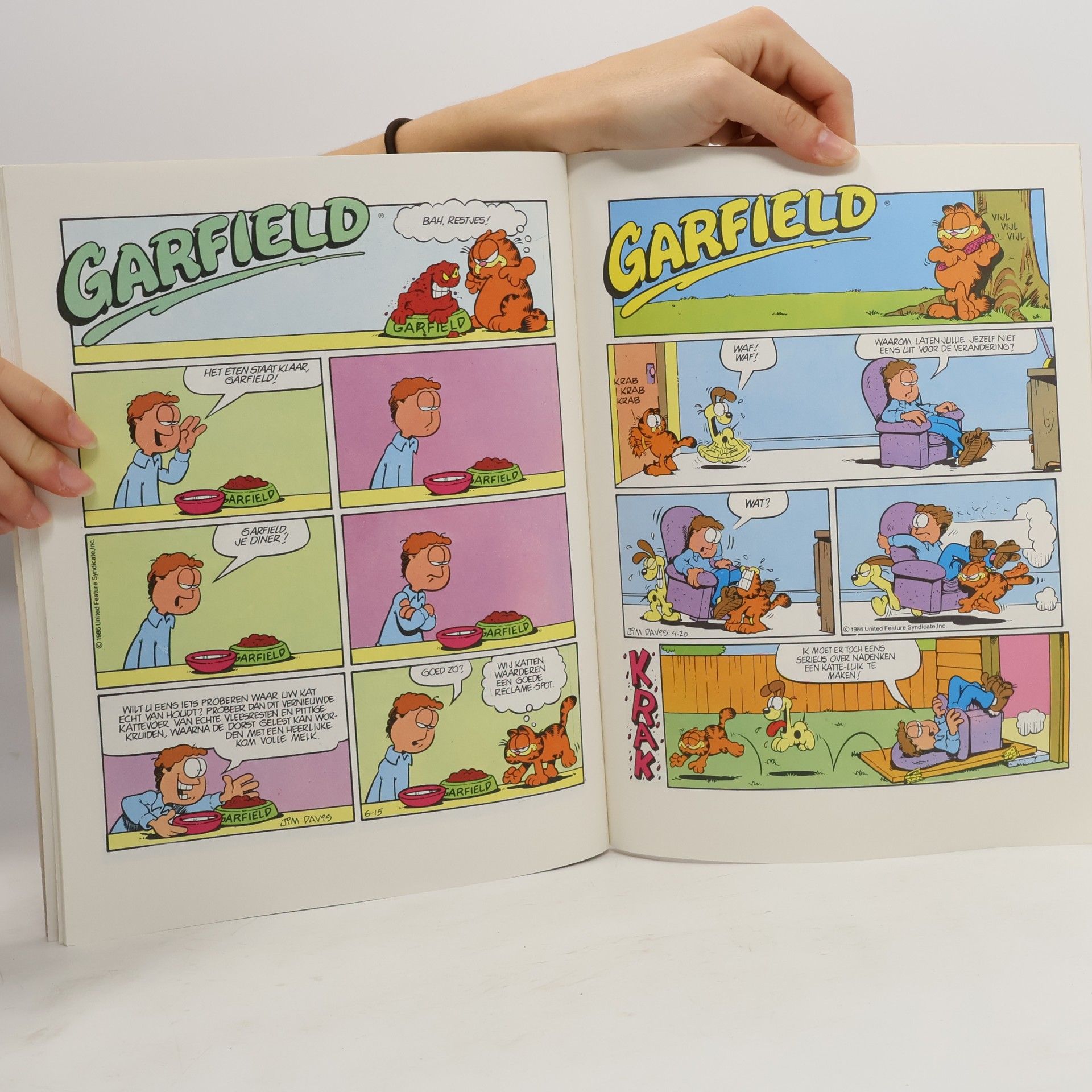 Jim Davis Garfield 10