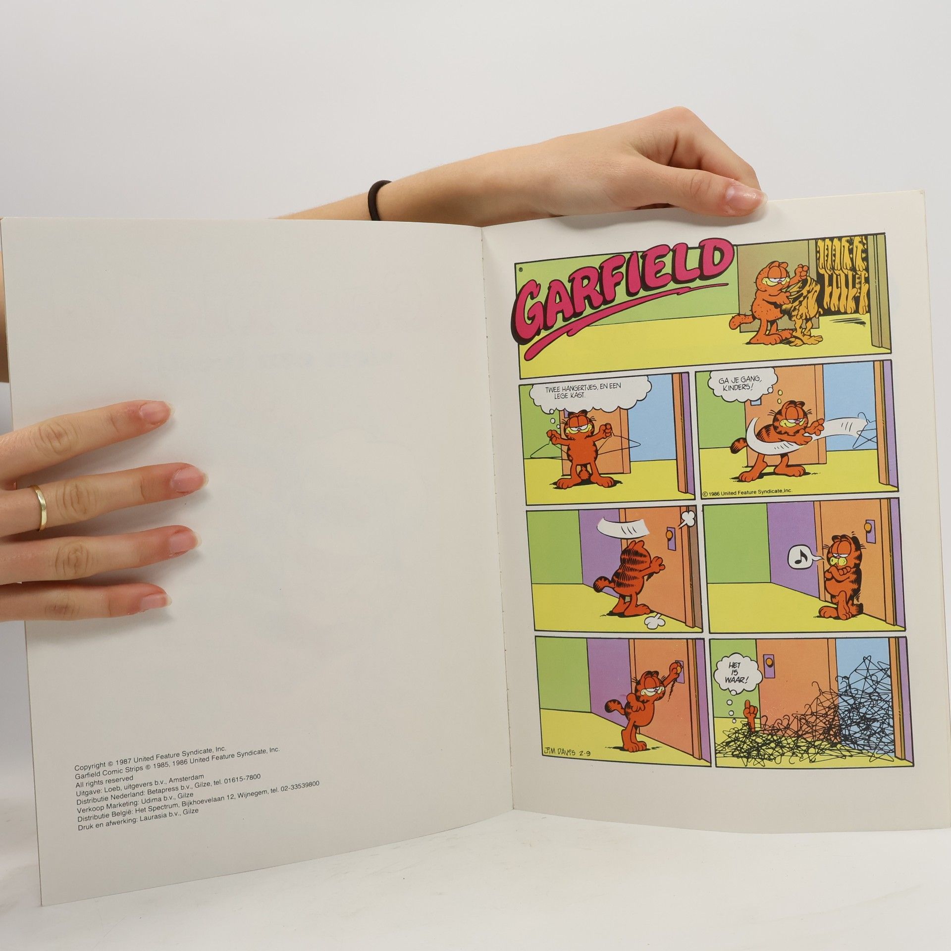 Jim Davis Garfield 10